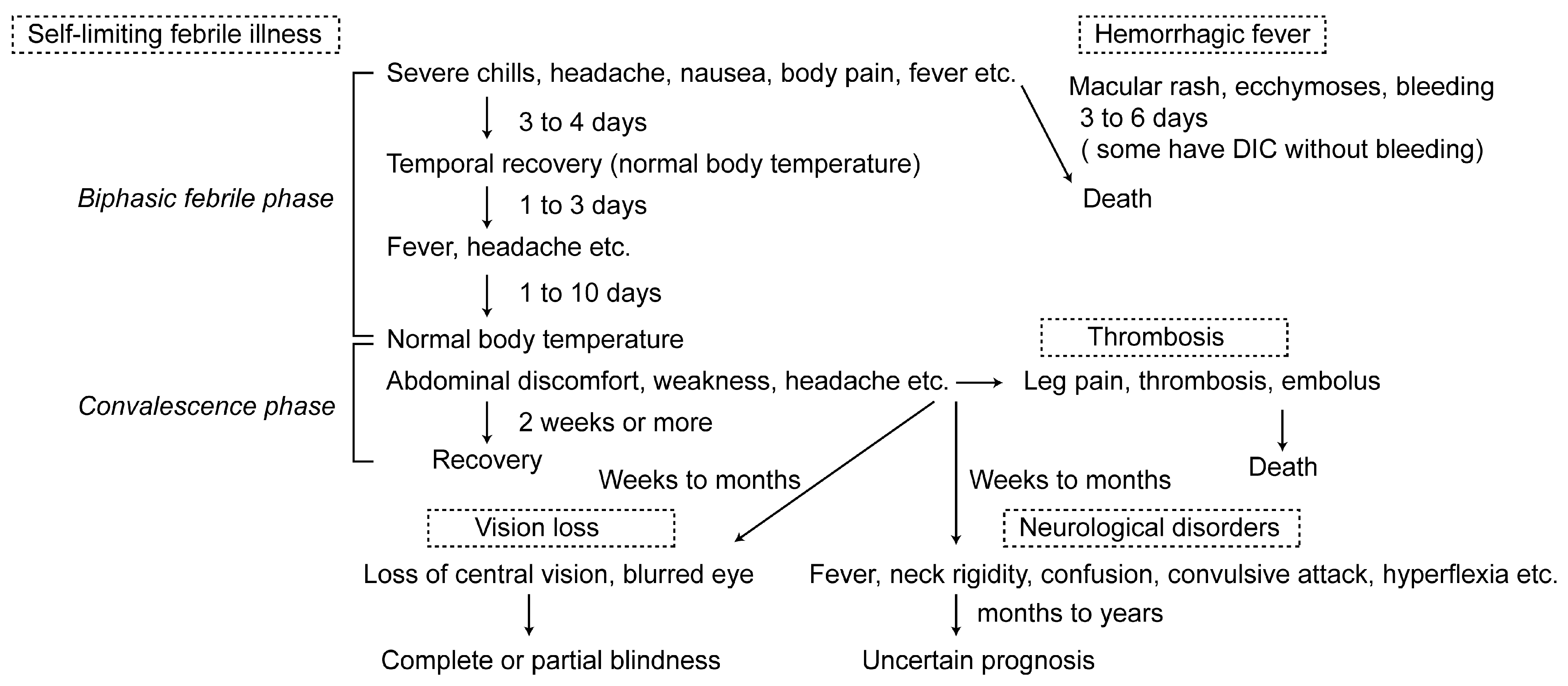 Viruses 03 00493 g001