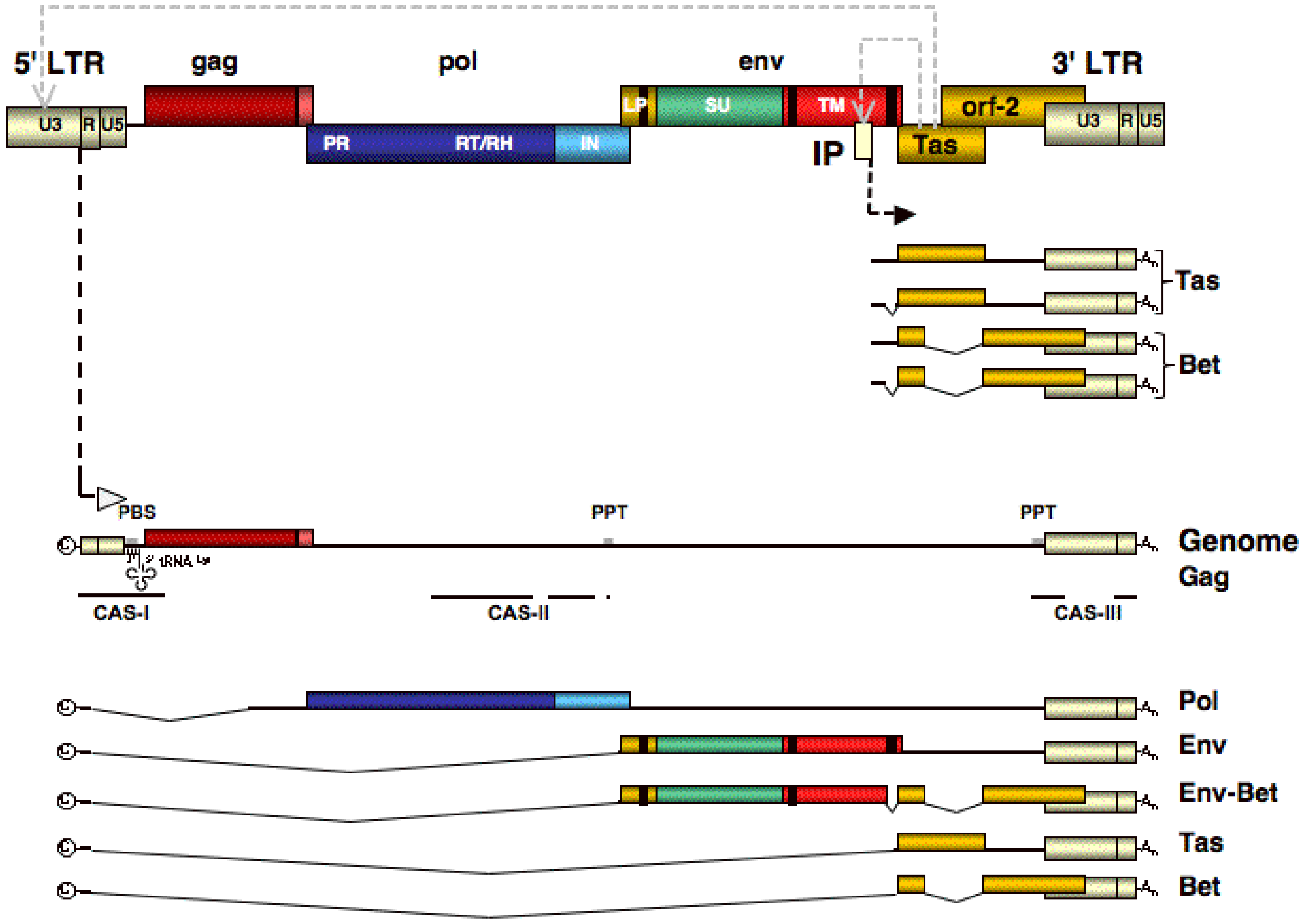 read transgenic crops i