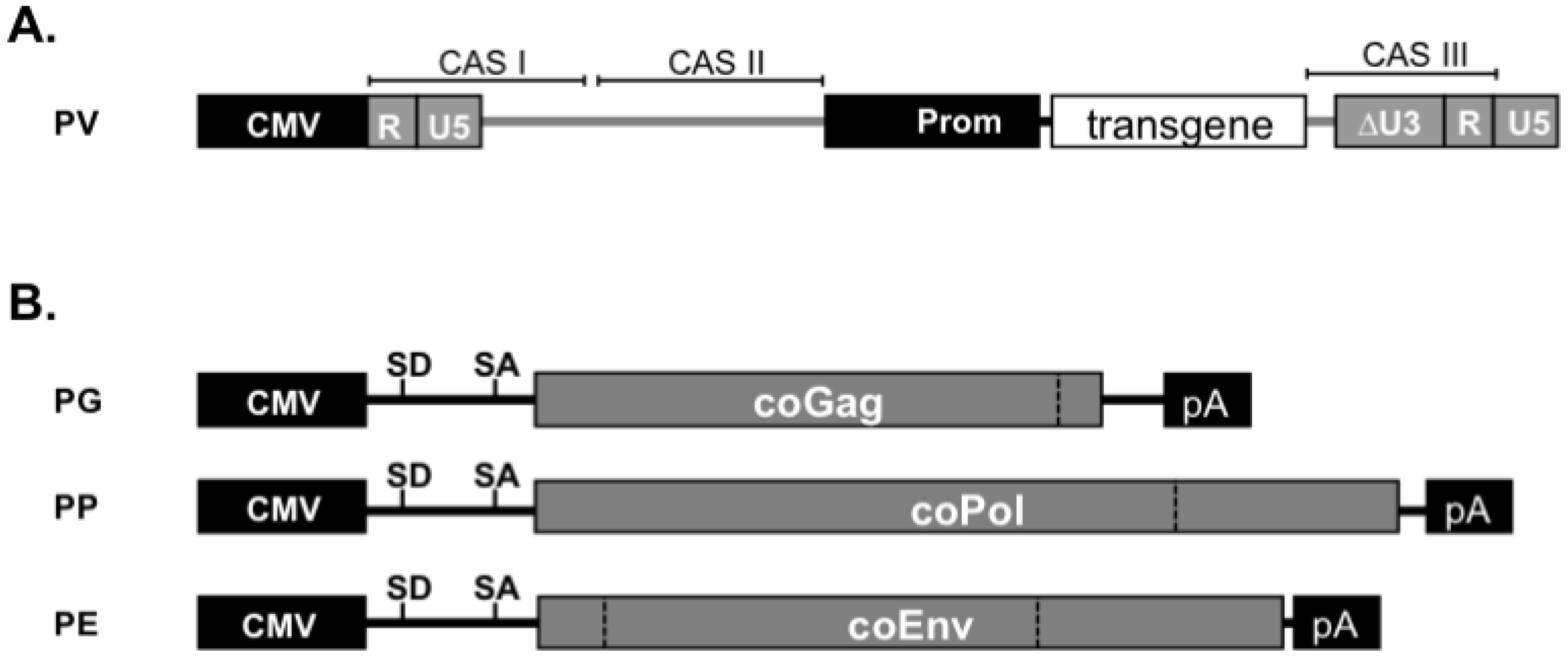 Viruses 03 00561 g004