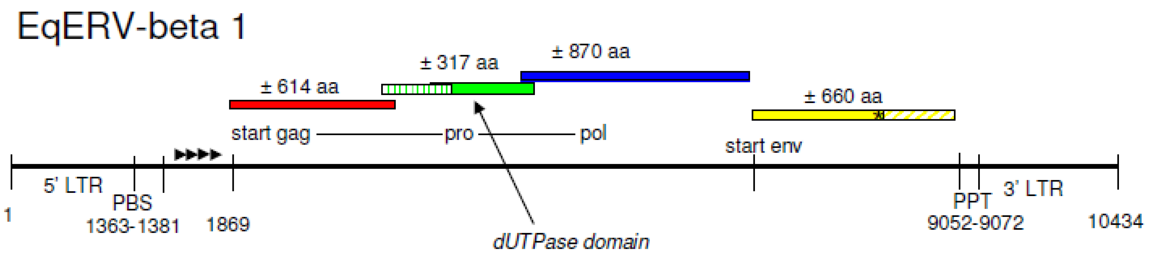 Viruses 03 00620 g001