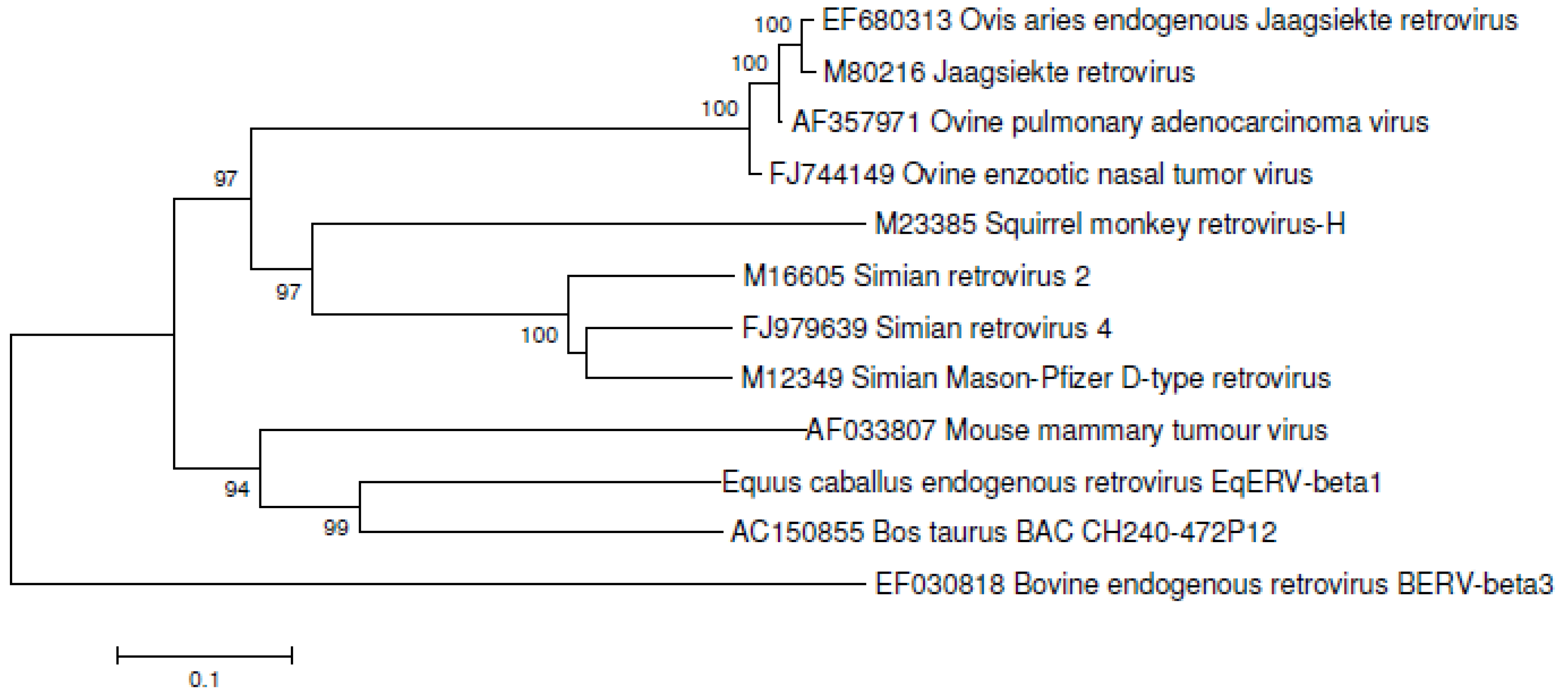 Viruses 03 00620 g004