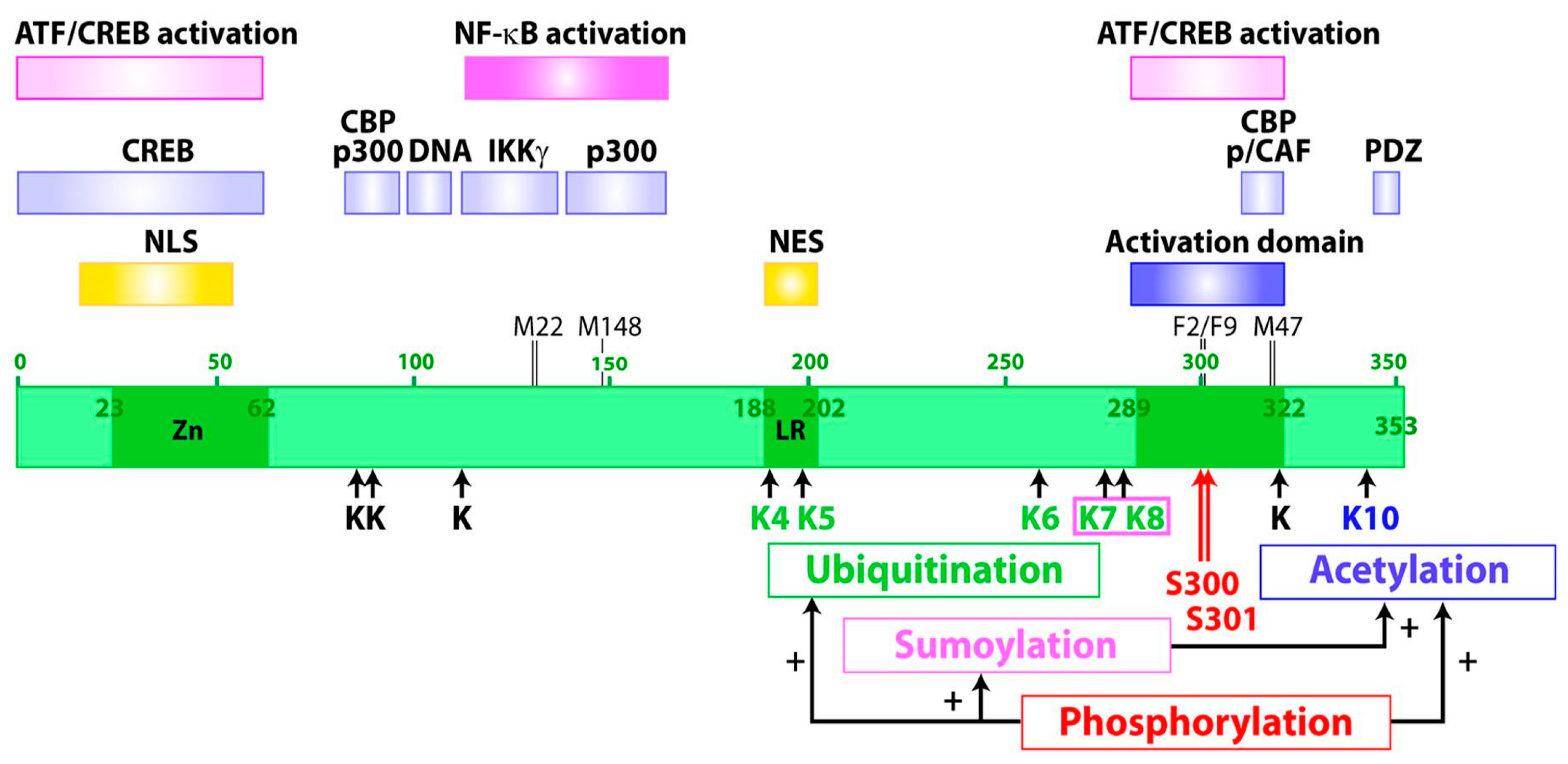 Viruses 03 00829 g001 Viruses 03 00829 g001