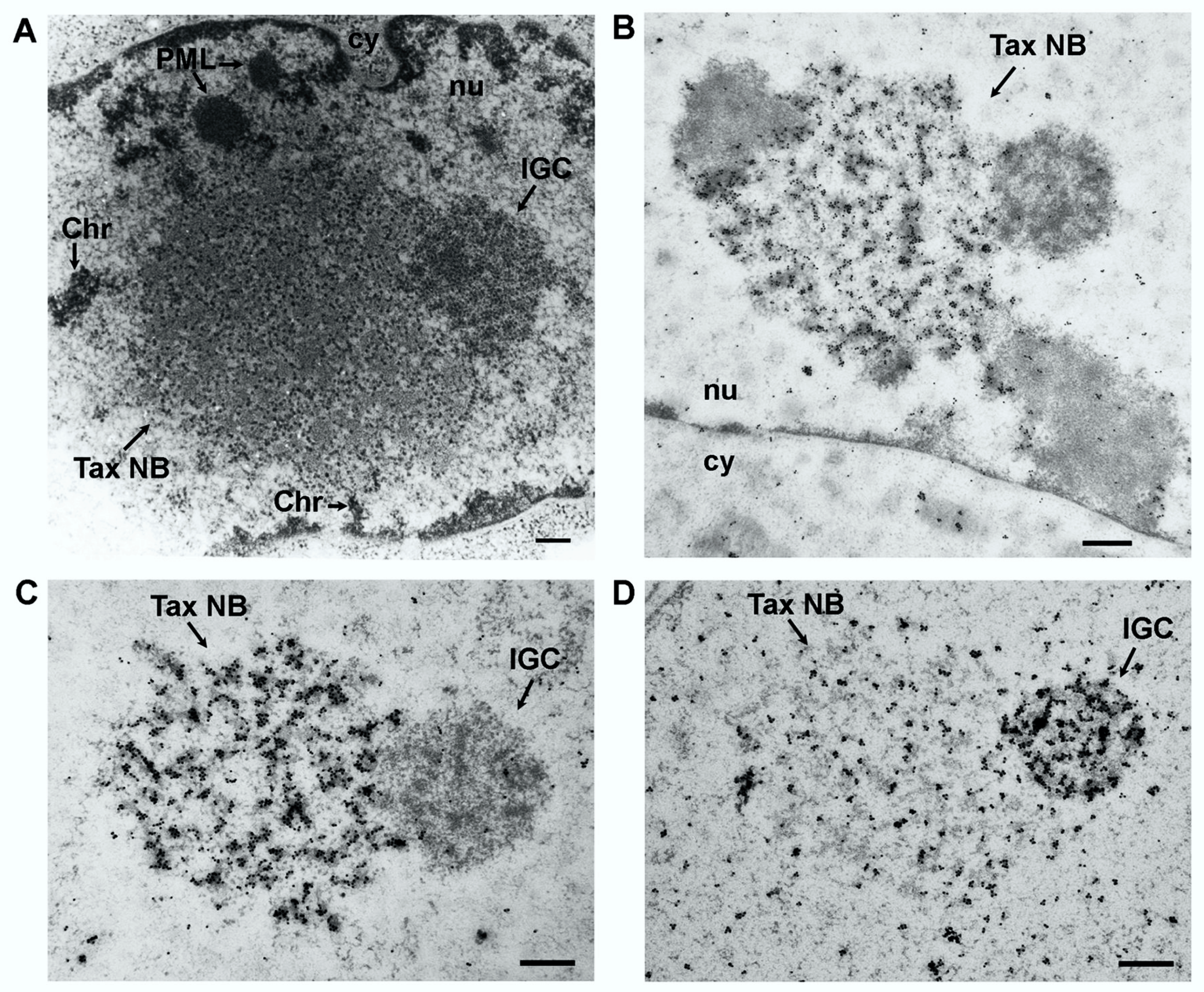 Viruses 03 00829 g003 Viruses 03 00829 g003