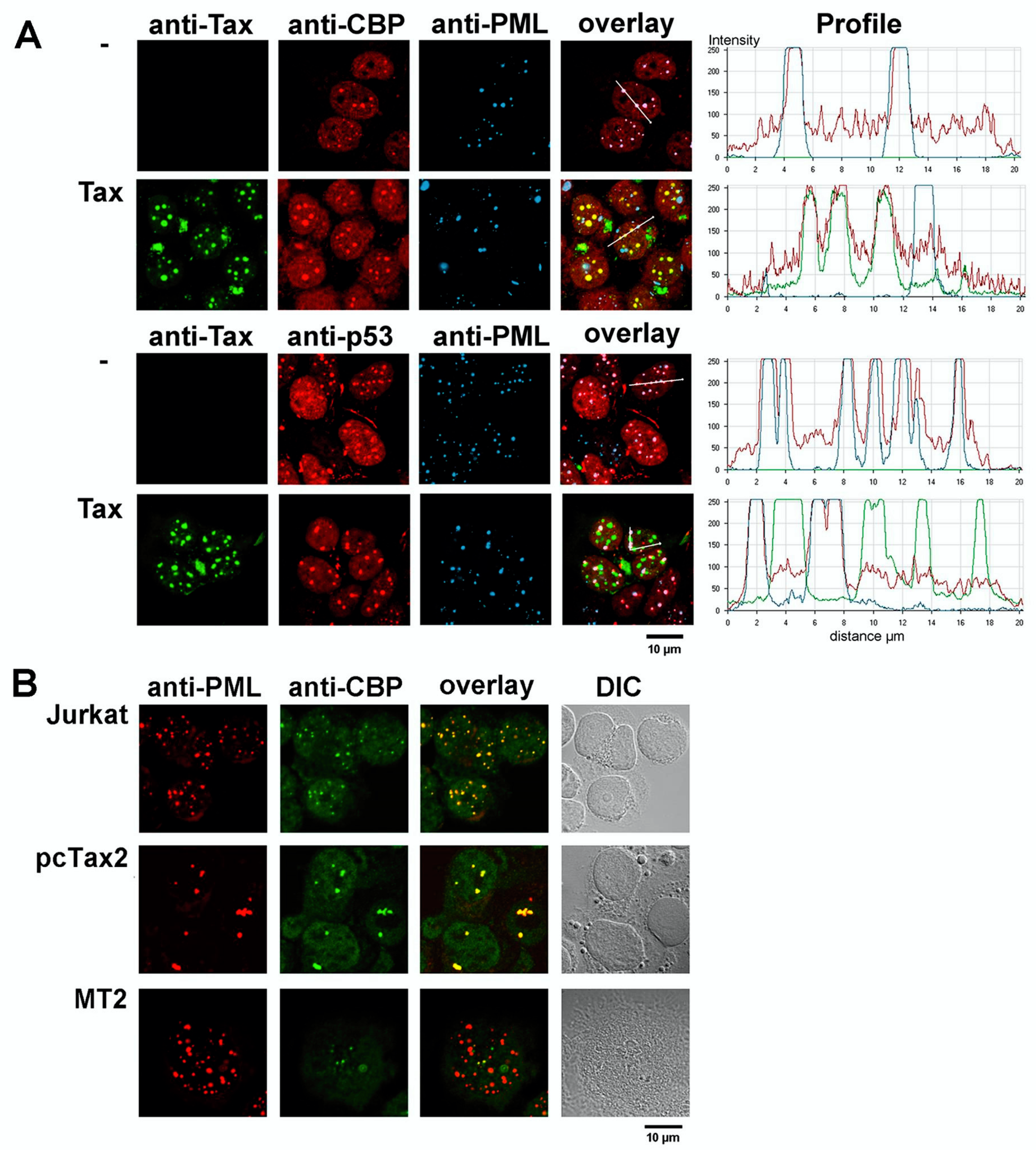 Viruses 03 00829 g006 Viruses 03 00829 g006