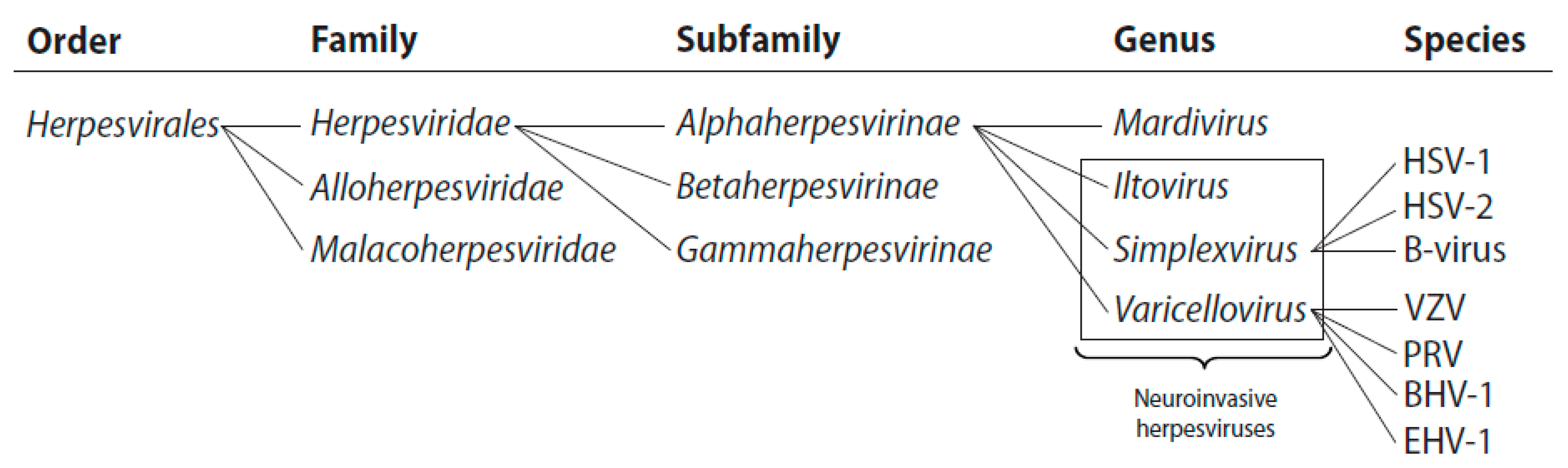 Viruses 03 00941 g001