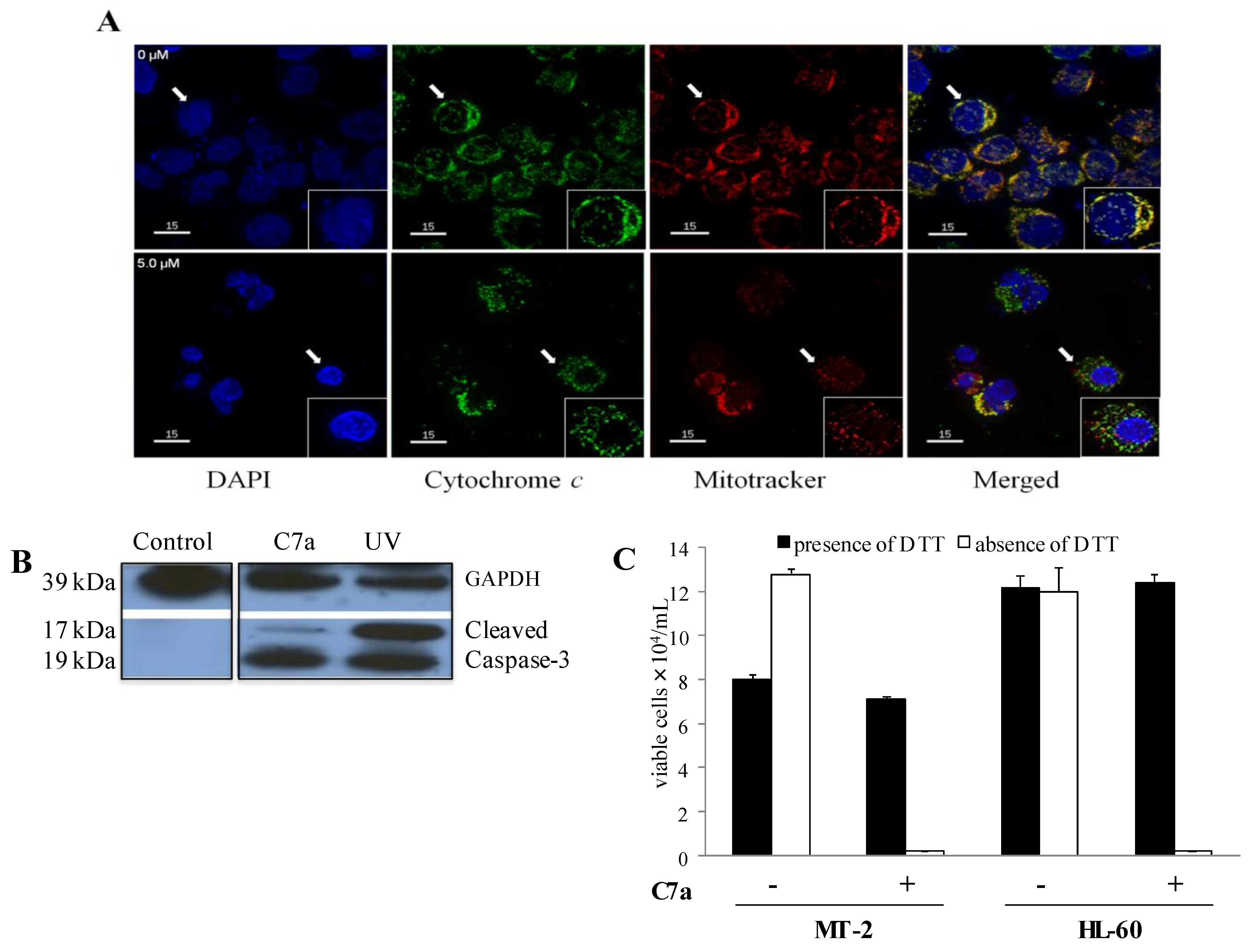 Viruses 03 01041 g004