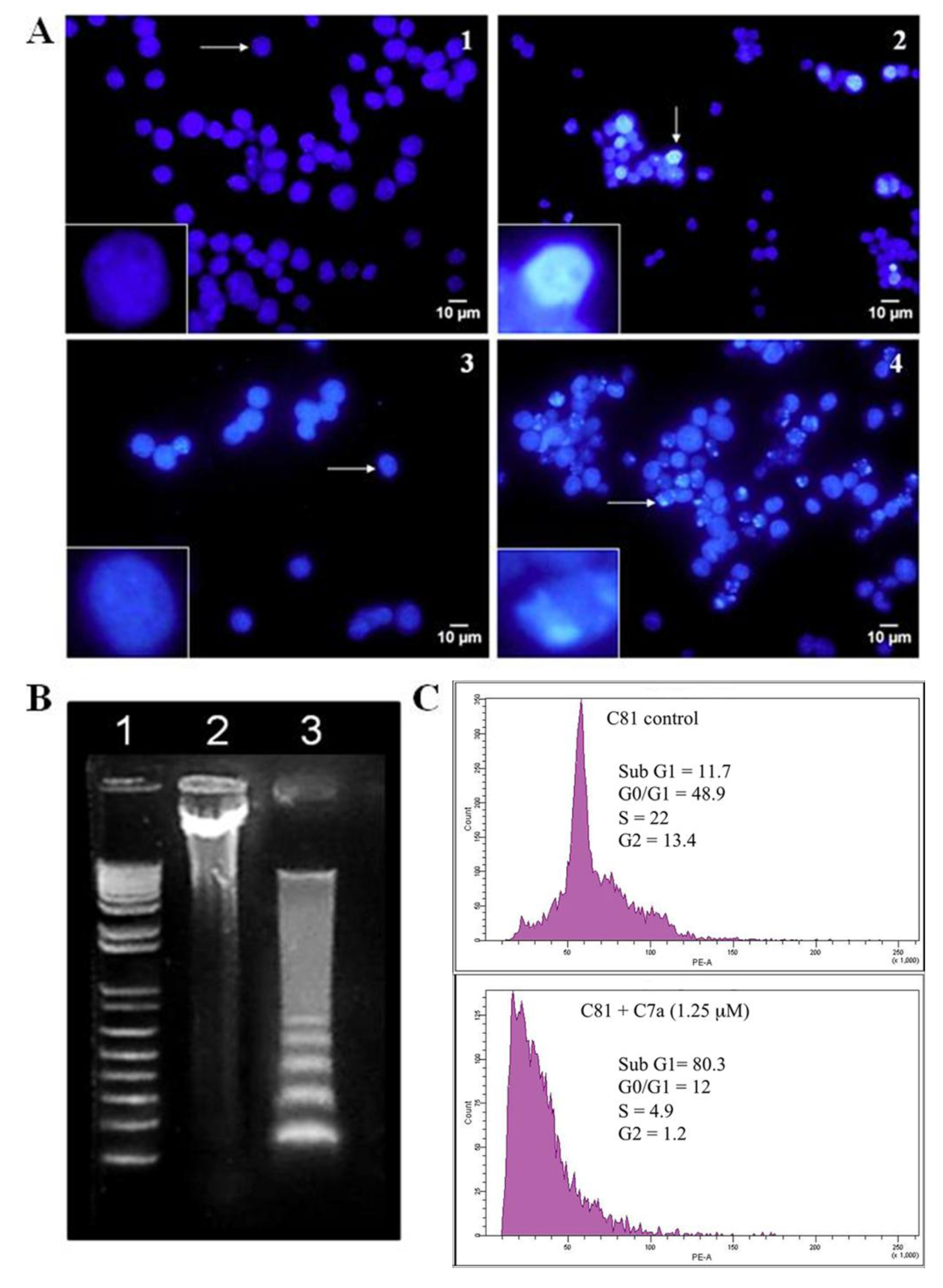 Viruses 03 01041 g005