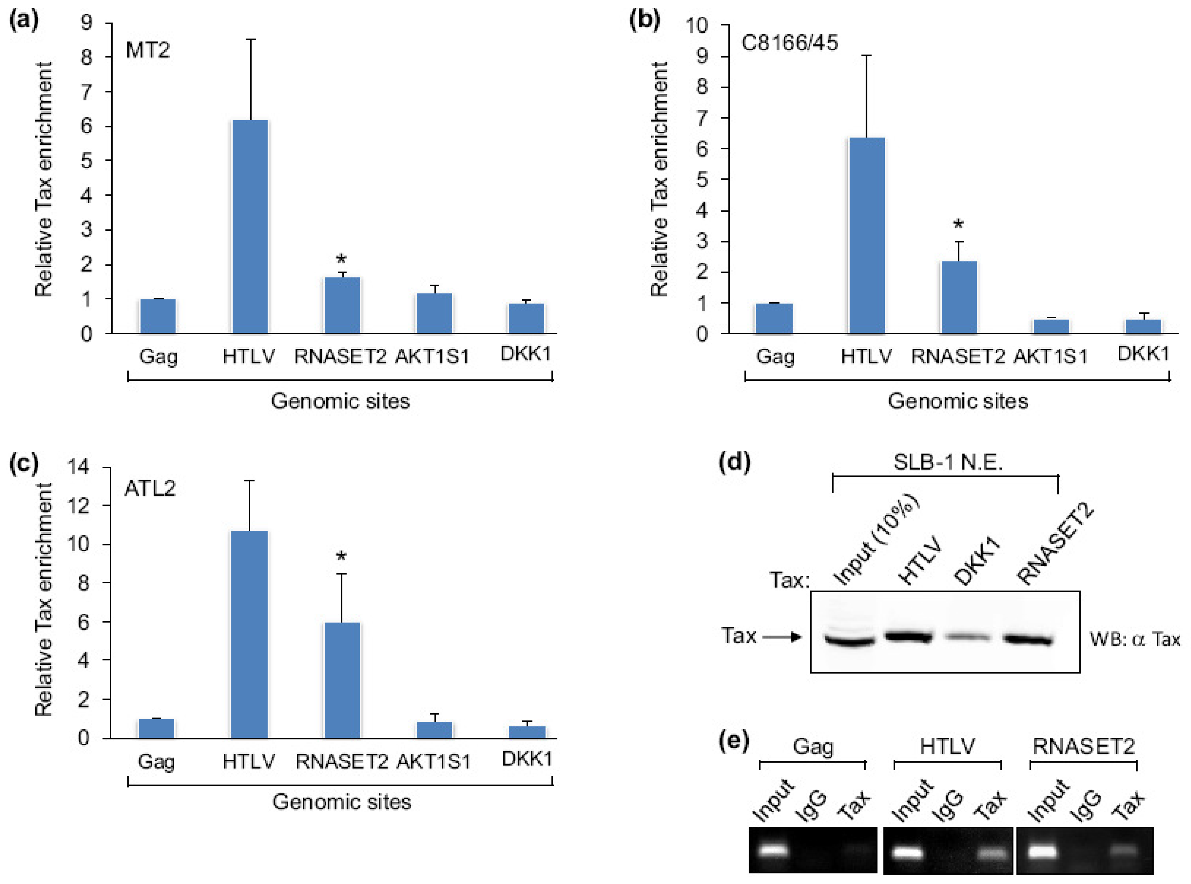 Viruses 03 01485 g001