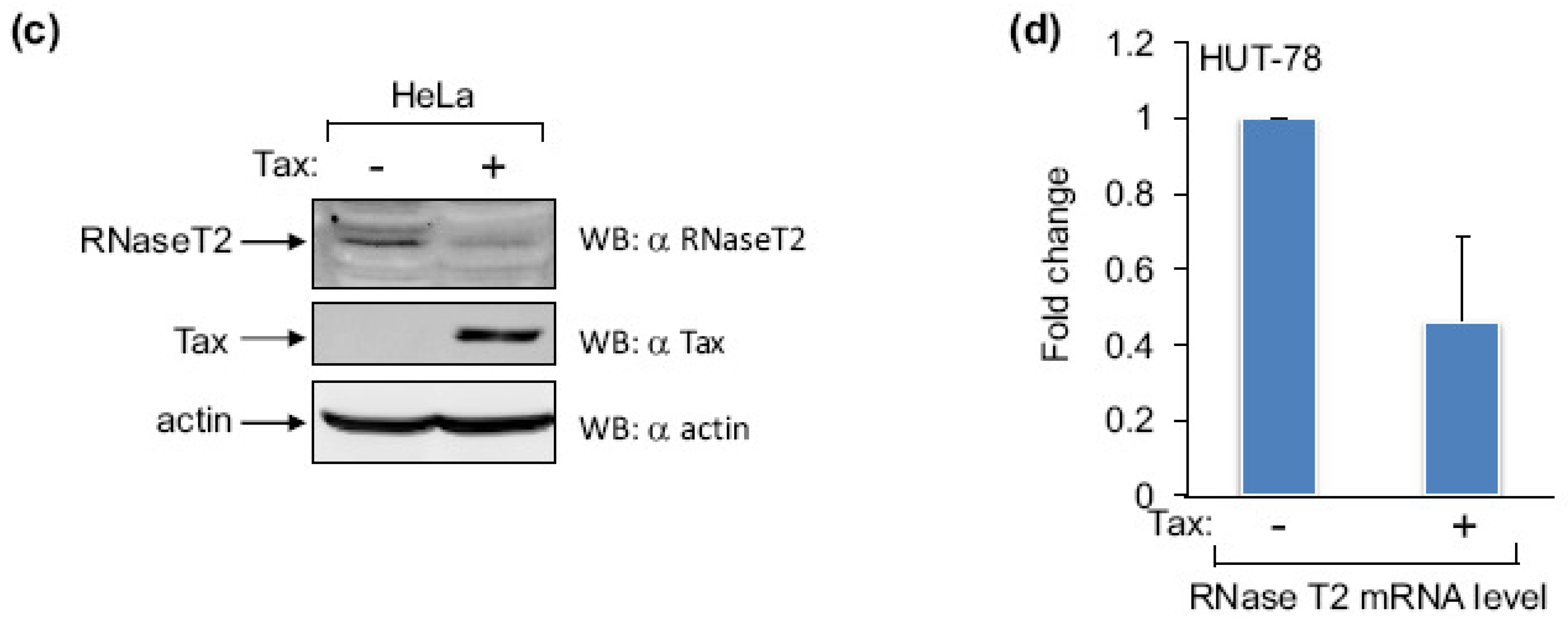 Viruses 03 01485 g003b