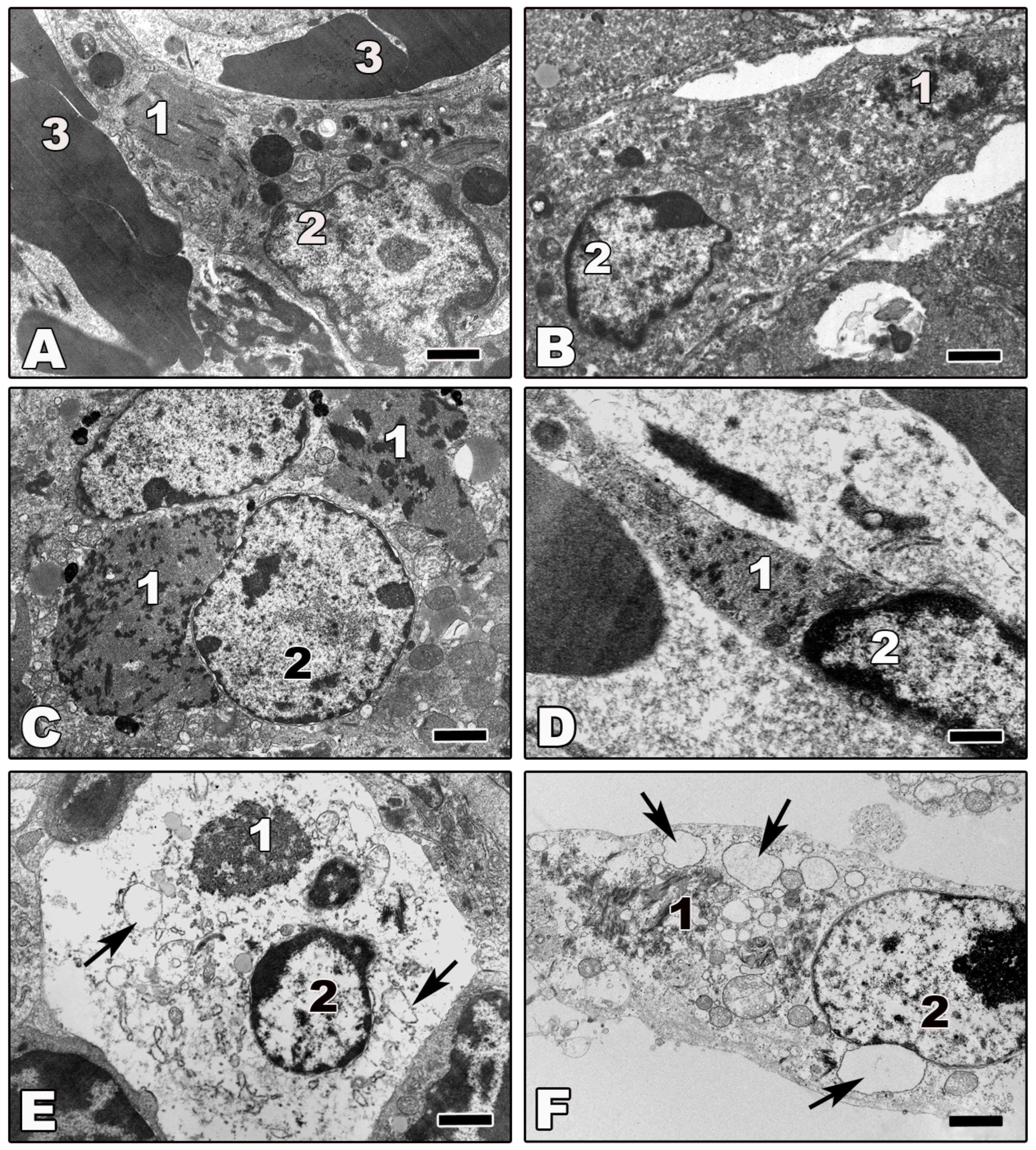 Viruses 03 01501 g003