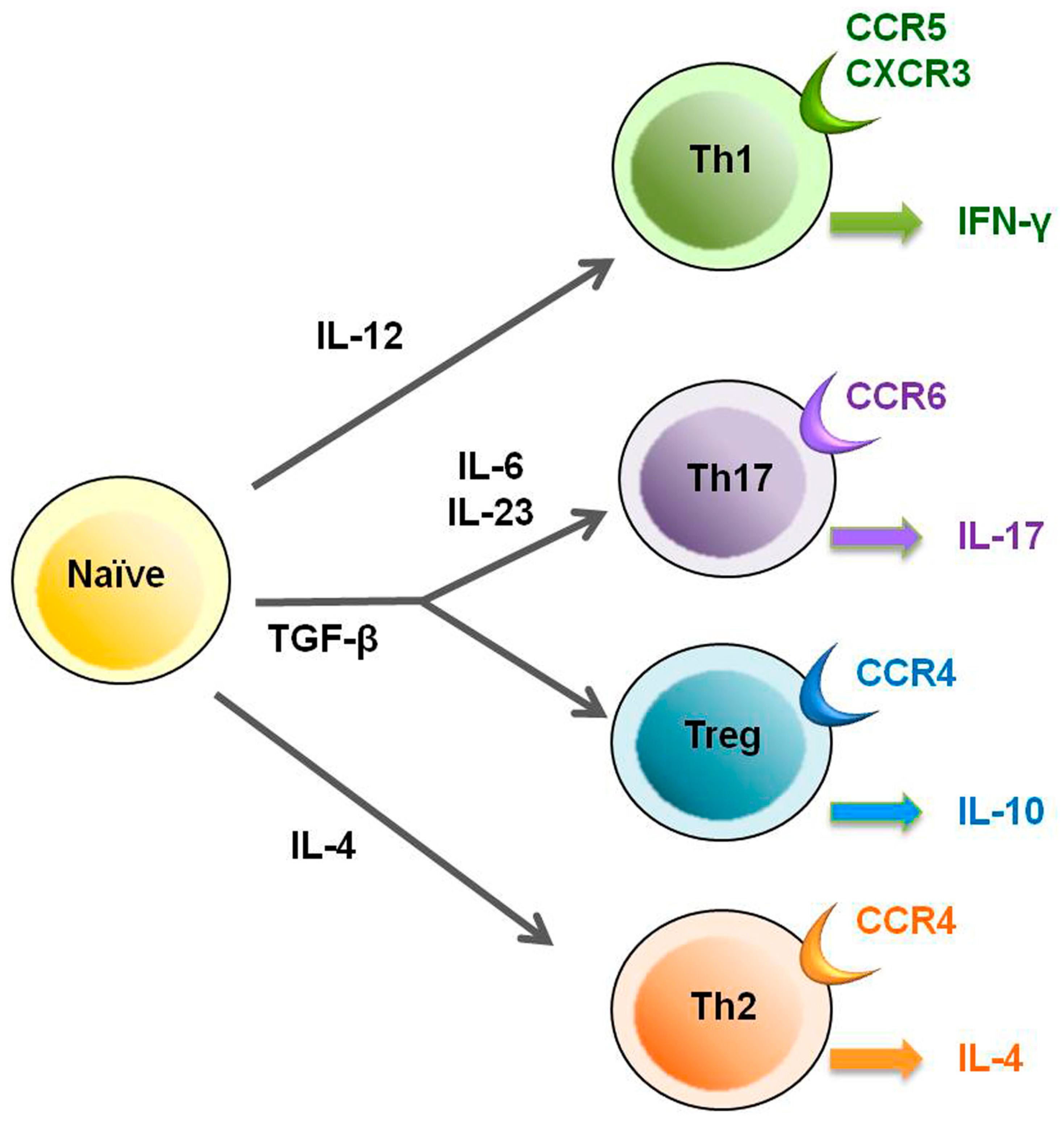 Viruses 03 01532 g001