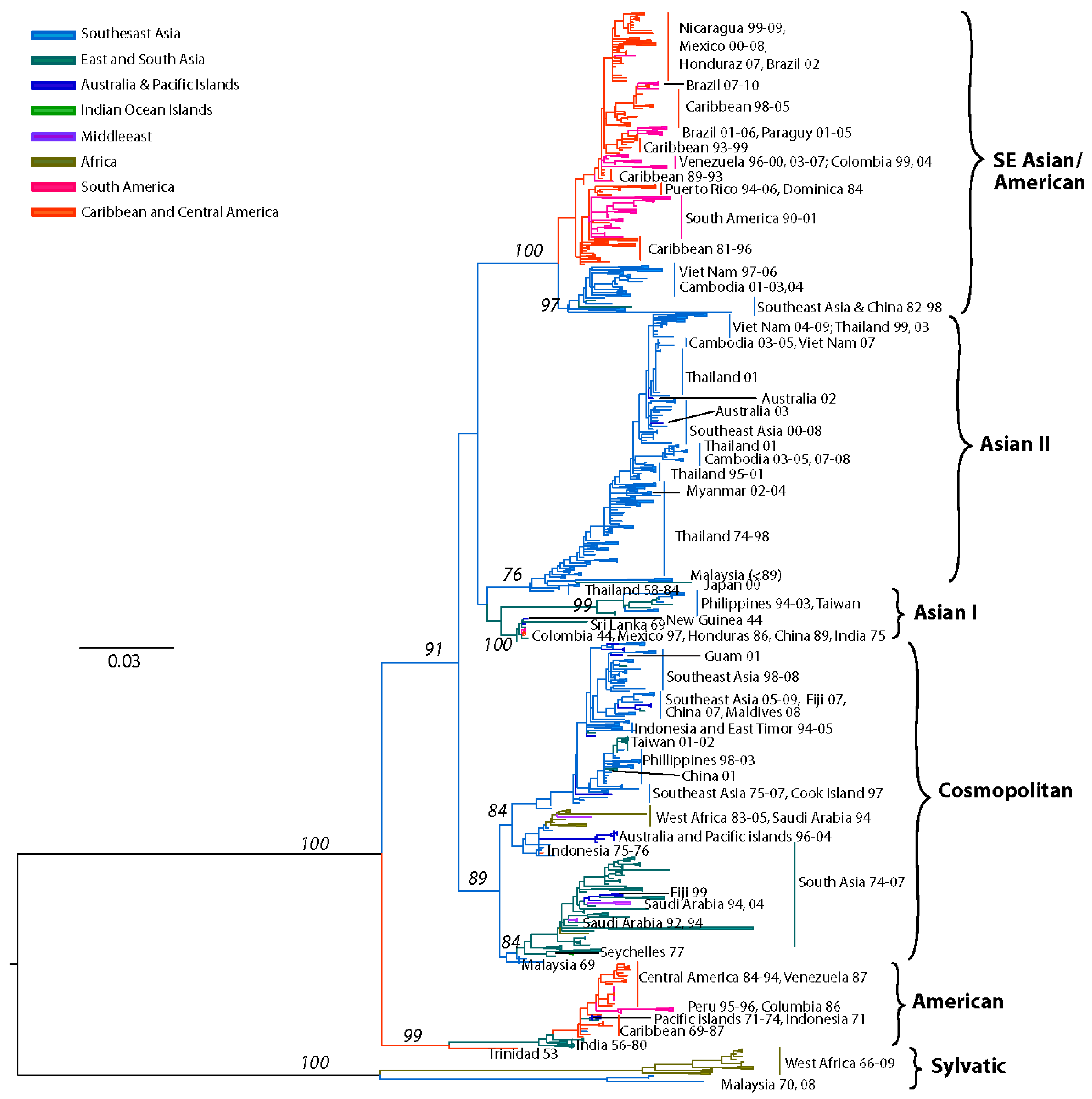 Viruses 03 01562 g003