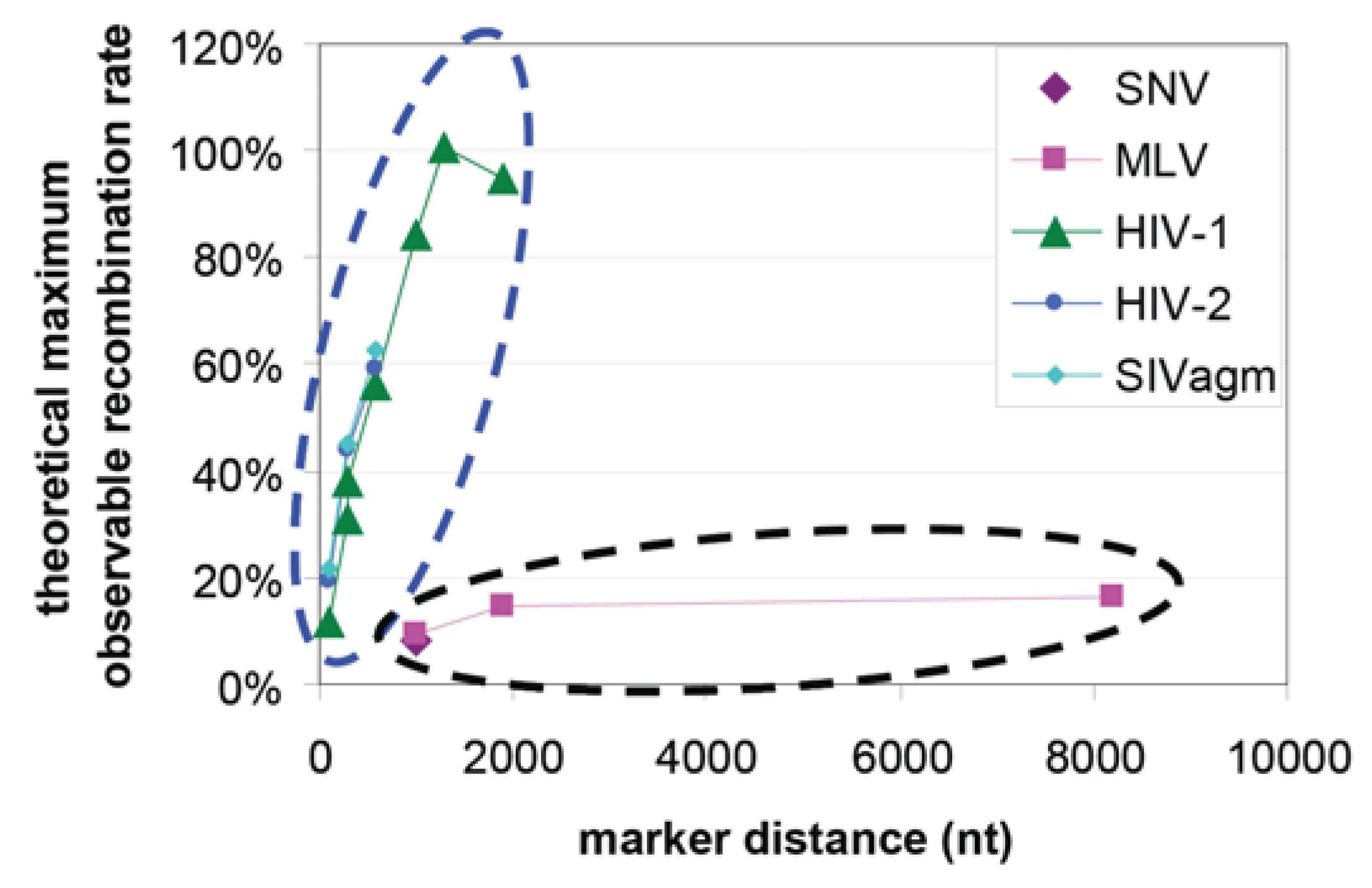 Viruses 03 01650 g005