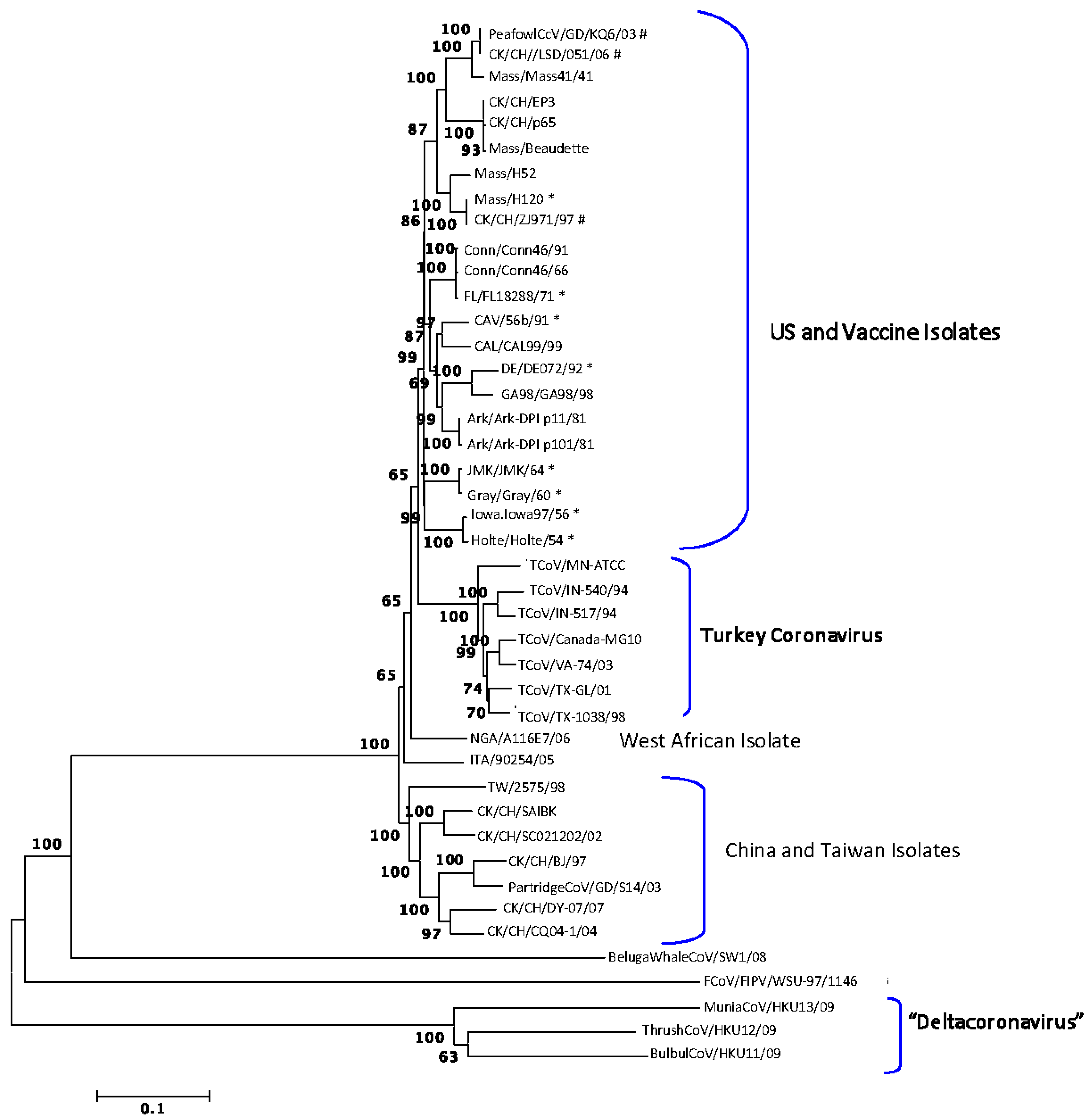 Viruses 03 01777 g001