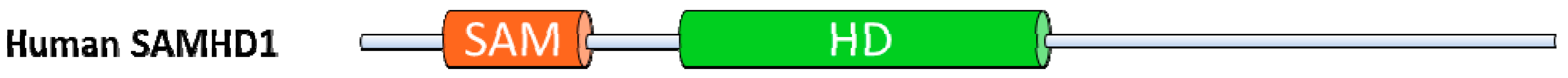 Viruses 03 01986 g005