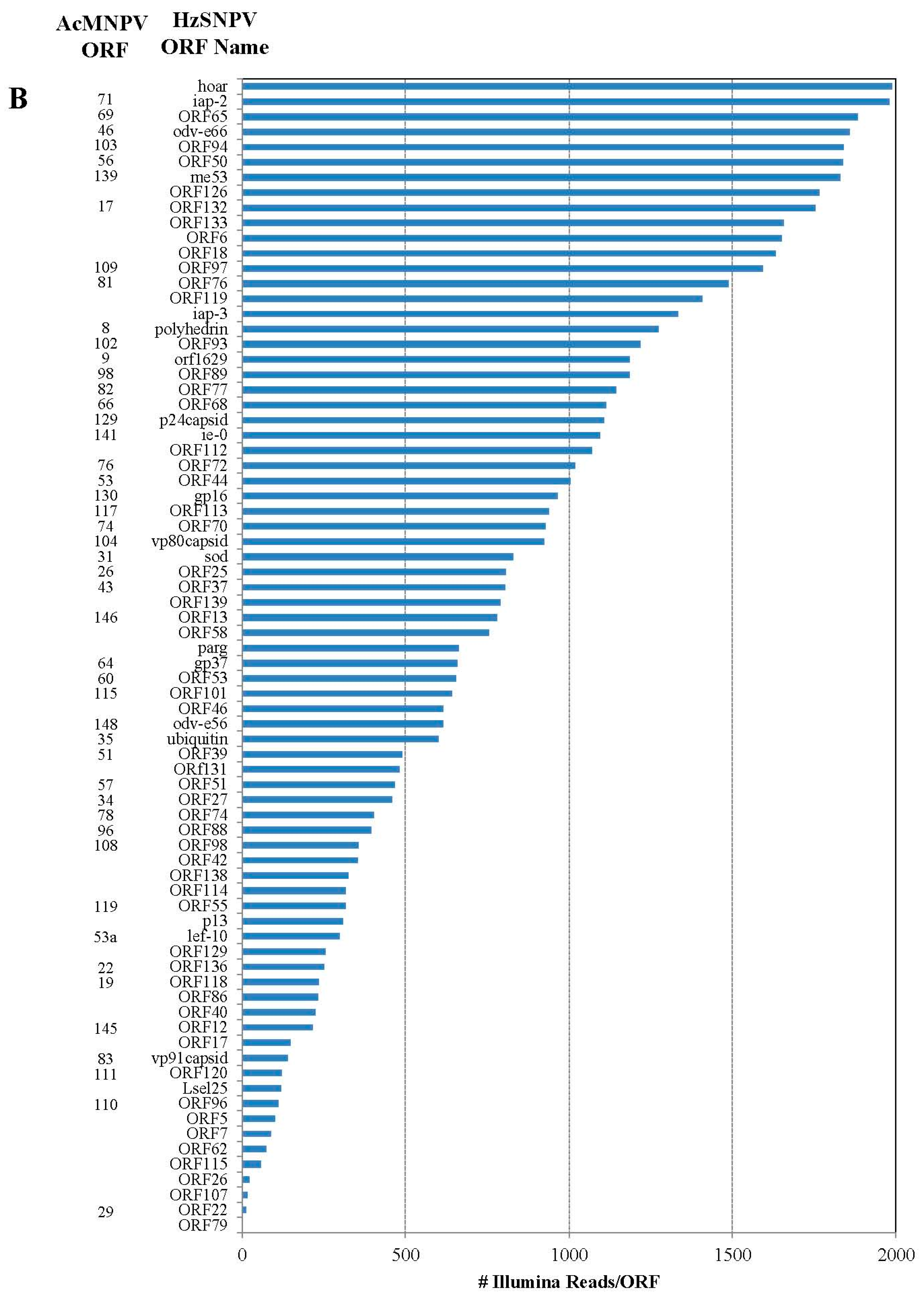 Viruses 03 02047 g001b