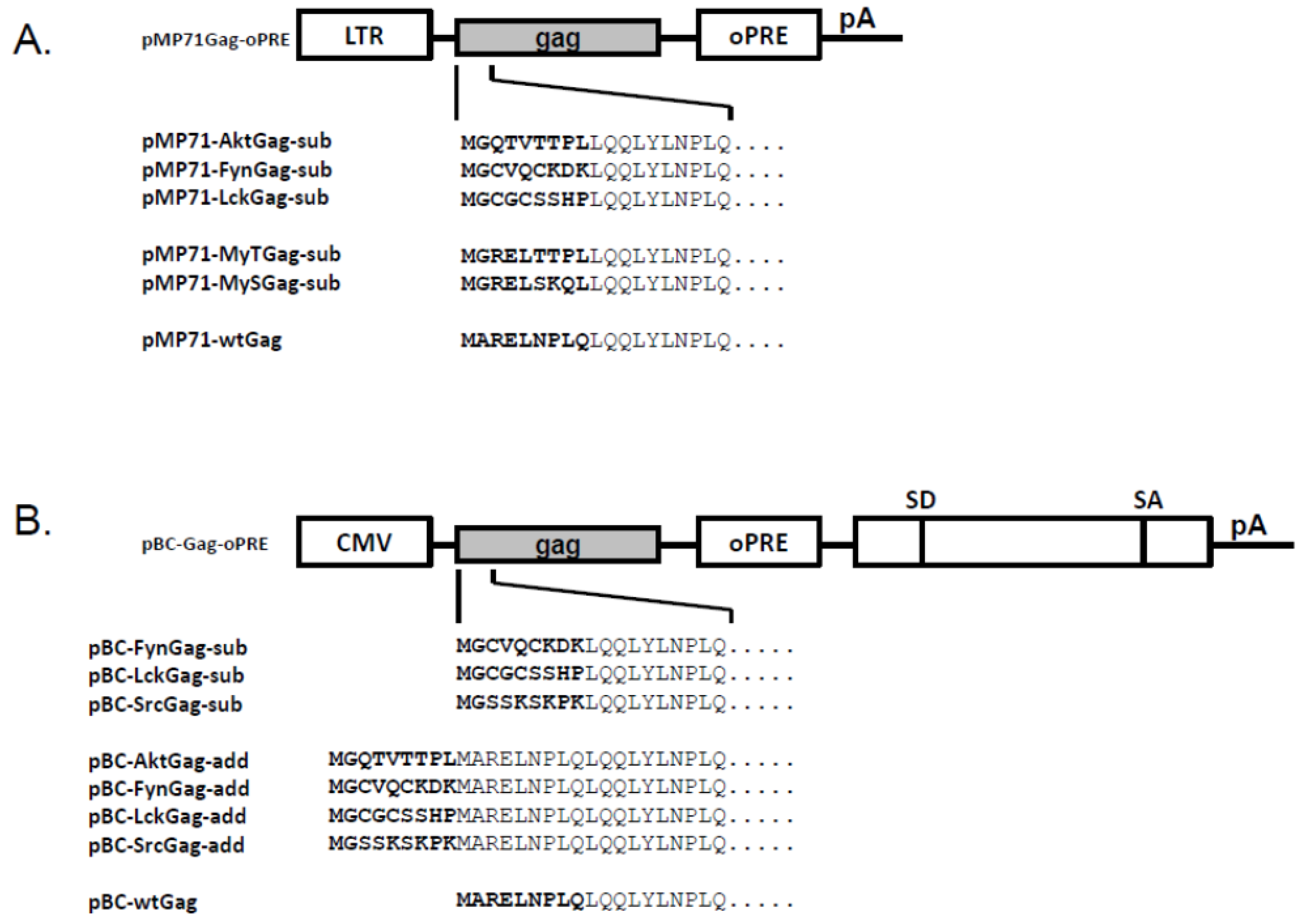 Viruses 03 02223 g001