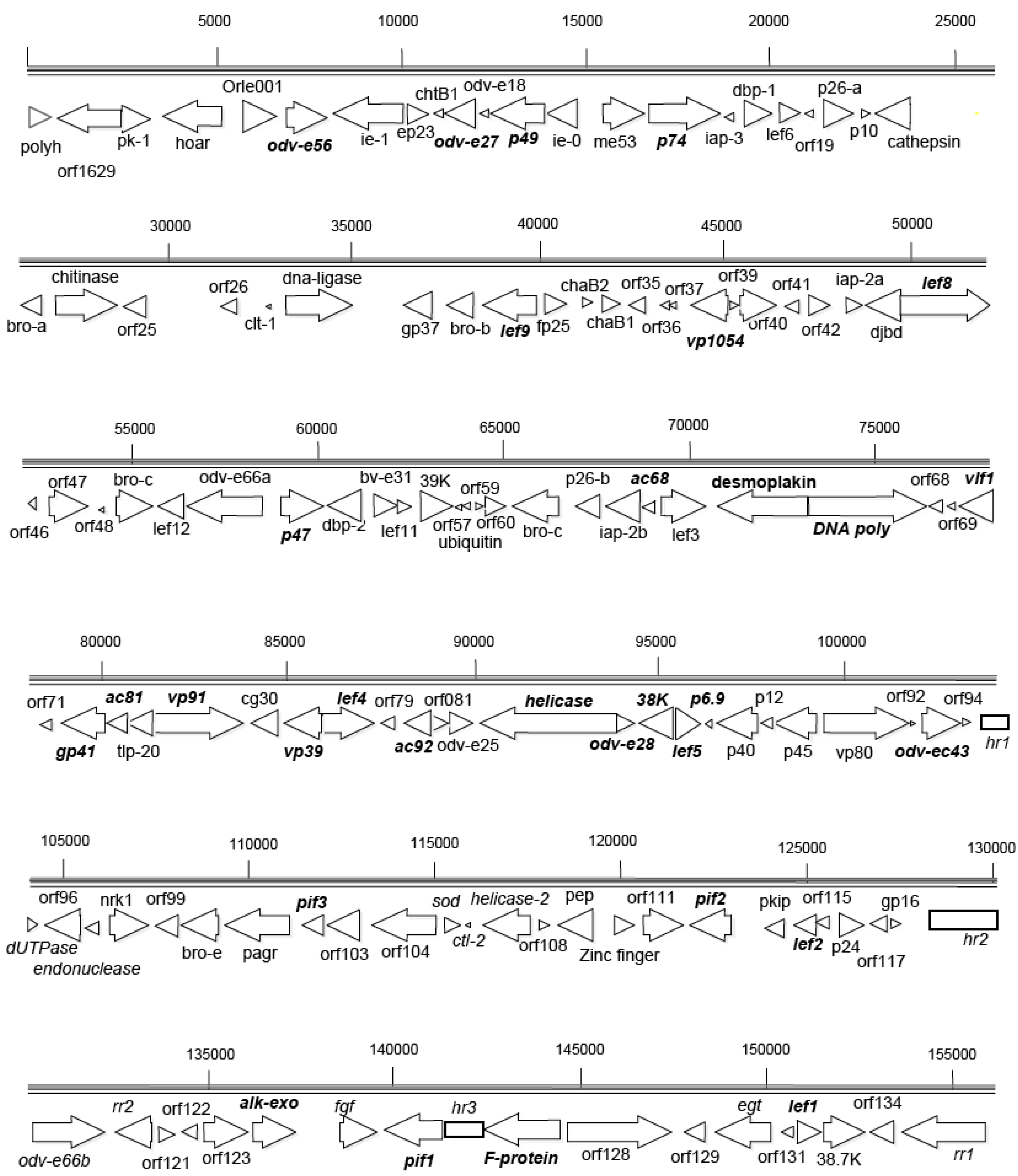 Viruses 03 02301 g001