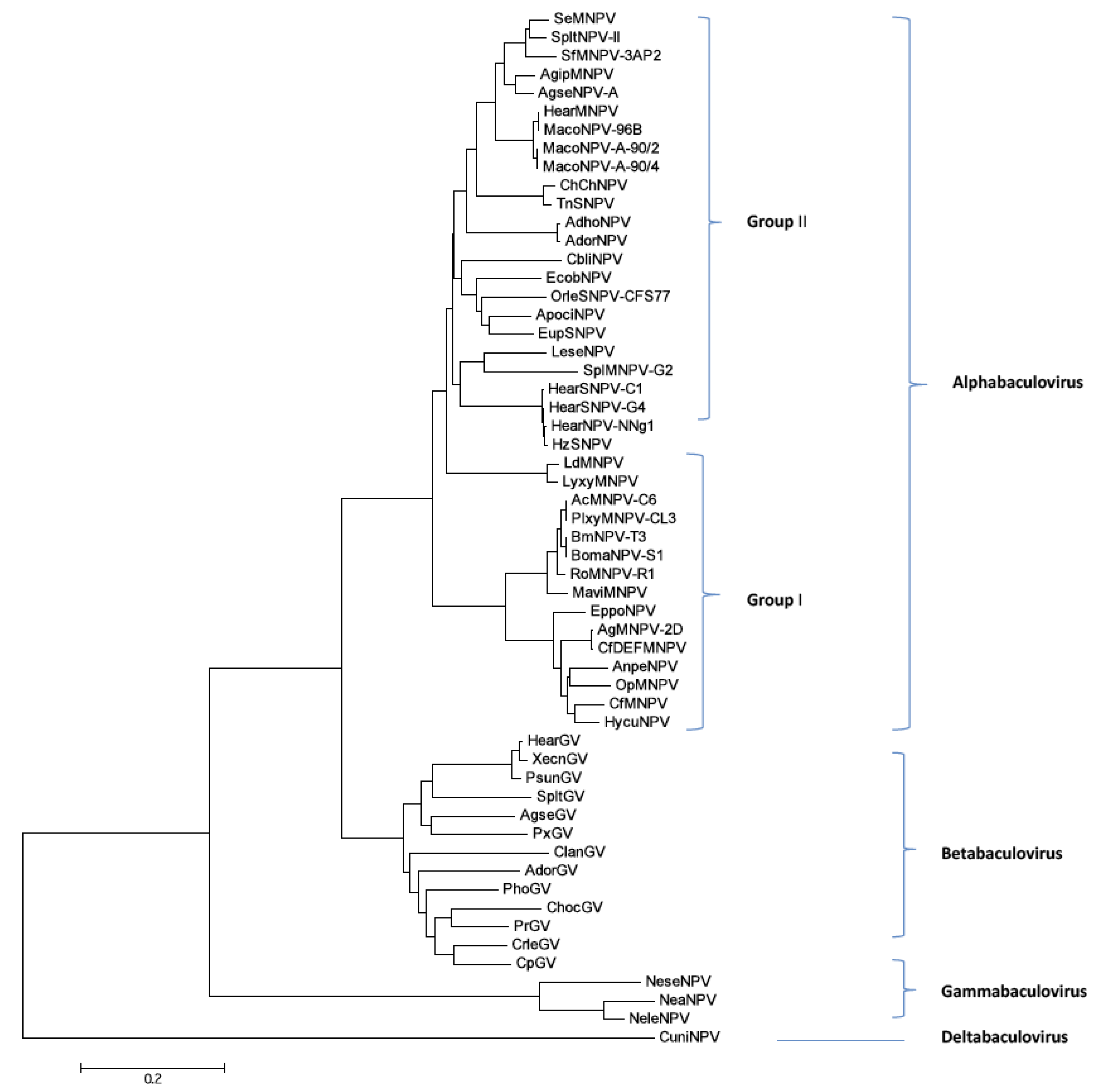Viruses 03 02301 g004