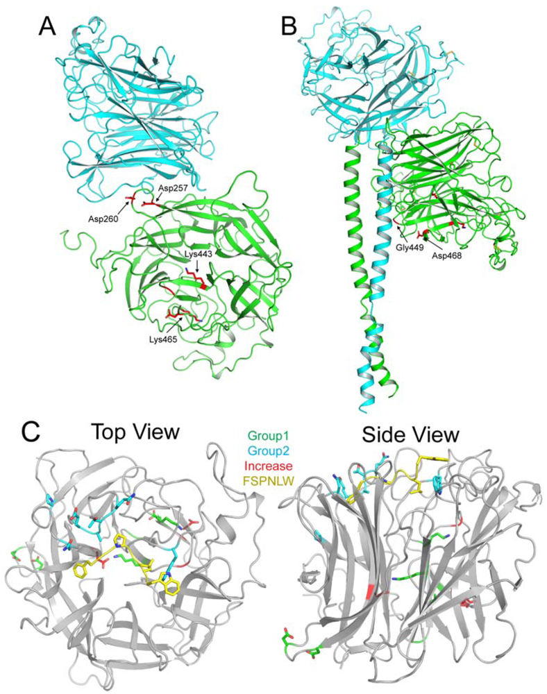 Viruses 04 00280 g002 1024