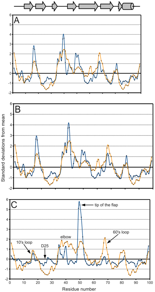 Viruses 04 00348 g005 1024