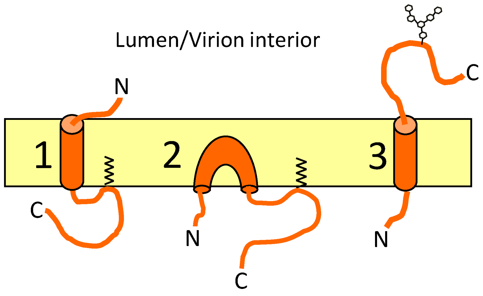 Viruses 04 00363 g004