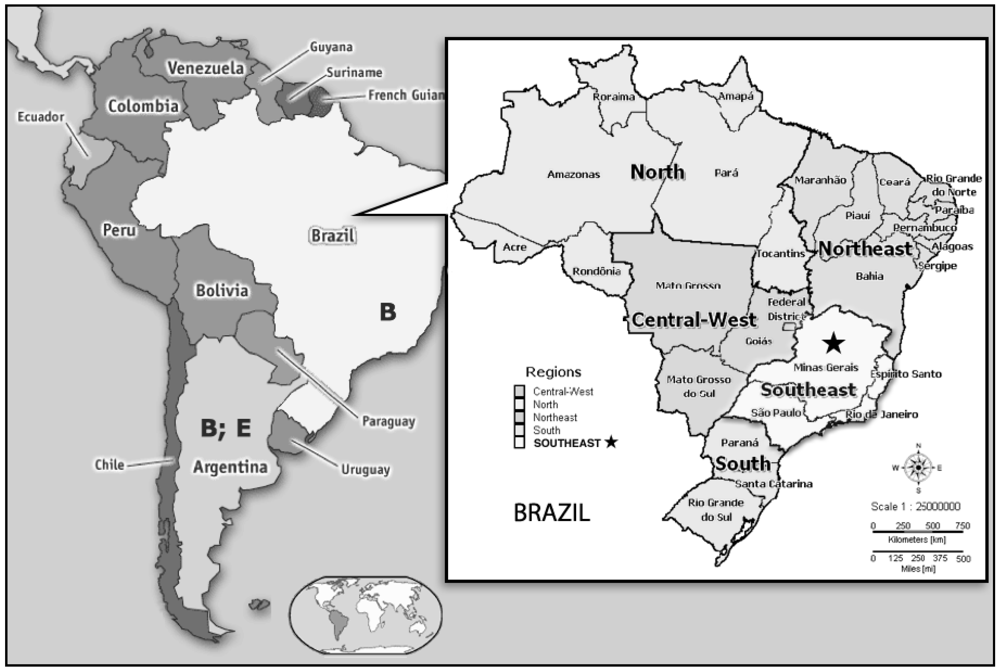 Viruses 04 00383 g001