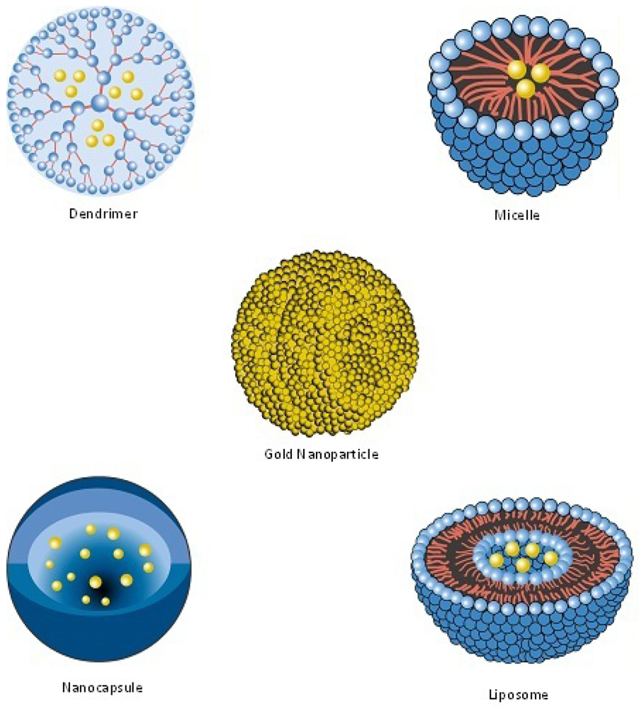 How Stealthy HIV Evades Drugs and Immunity