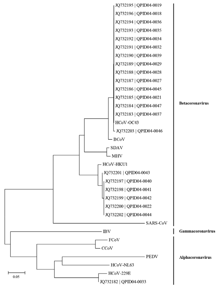 Viruses 04 00637 g004