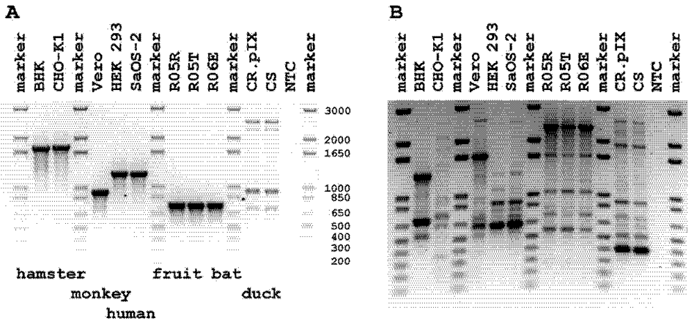 Viruses 04 00889 g001 1024