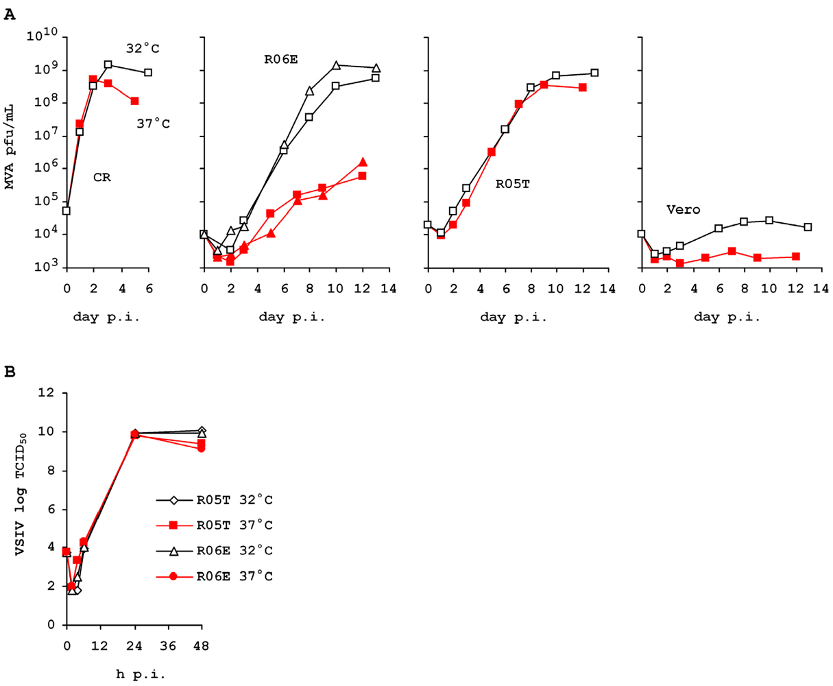 Viruses 04 00889 g004 1024