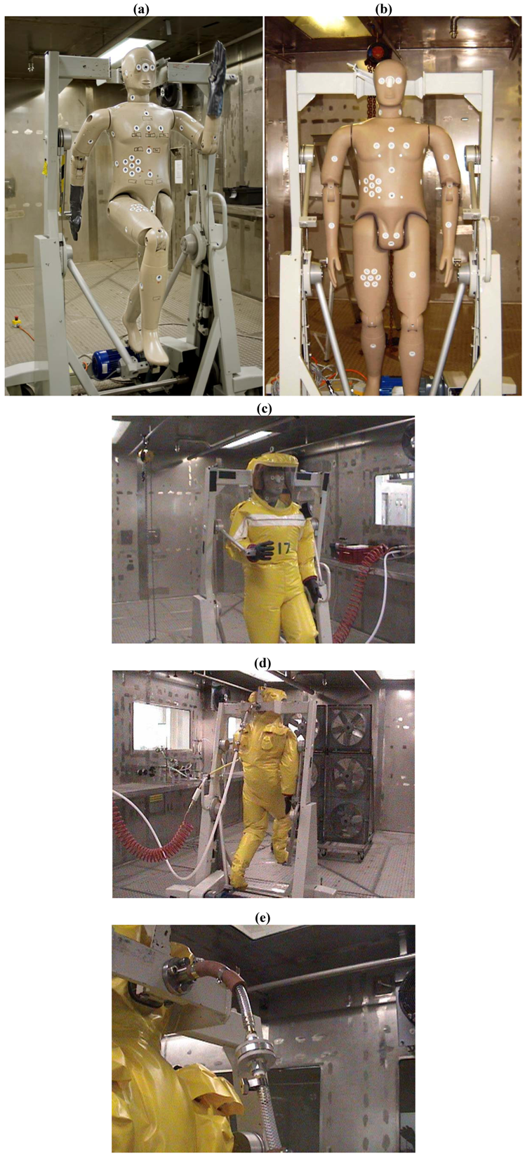 Viruses 04 01202 g001