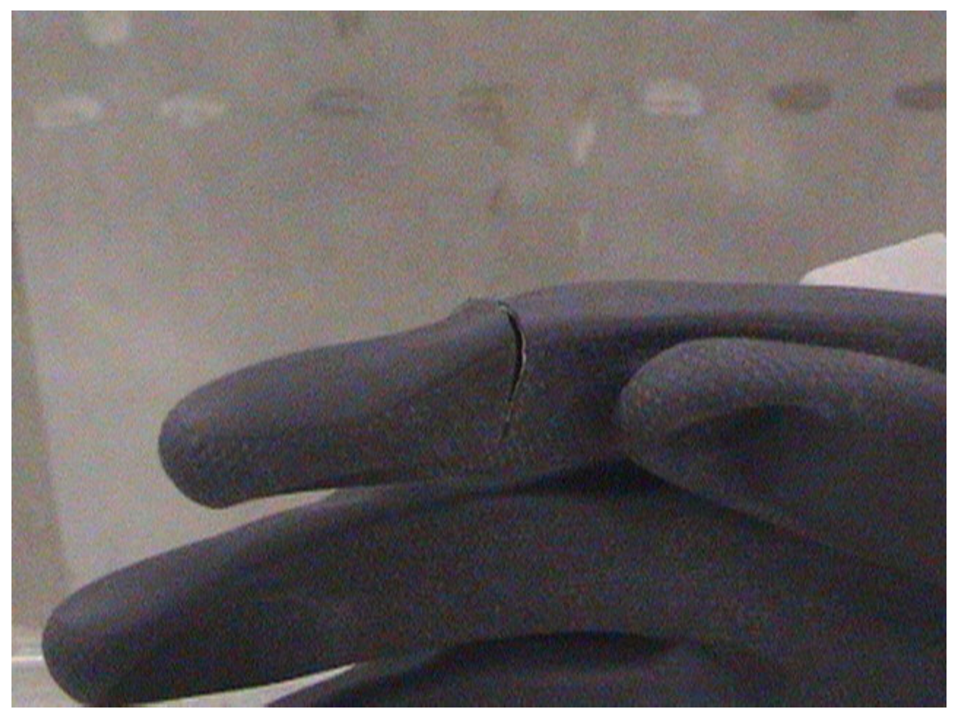 Viruses 04 01202 g003