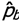 Viruses 04 01212 i011