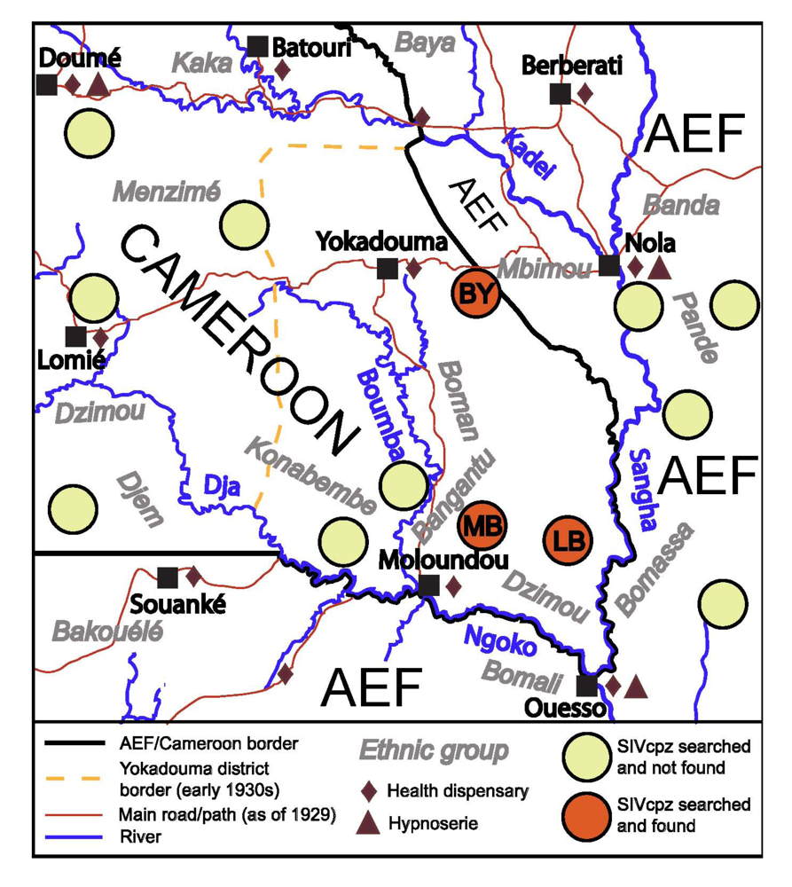 Viruses 04 01950 g001 1024