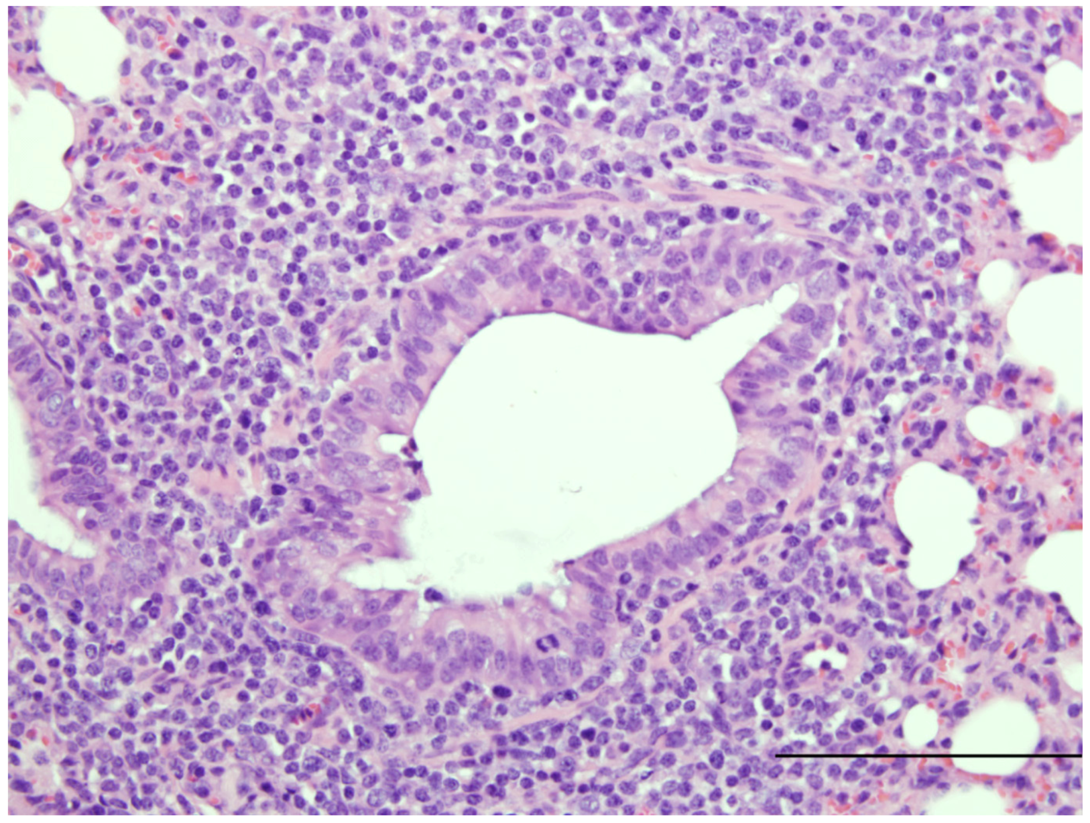 Viruses 04 02359 g004