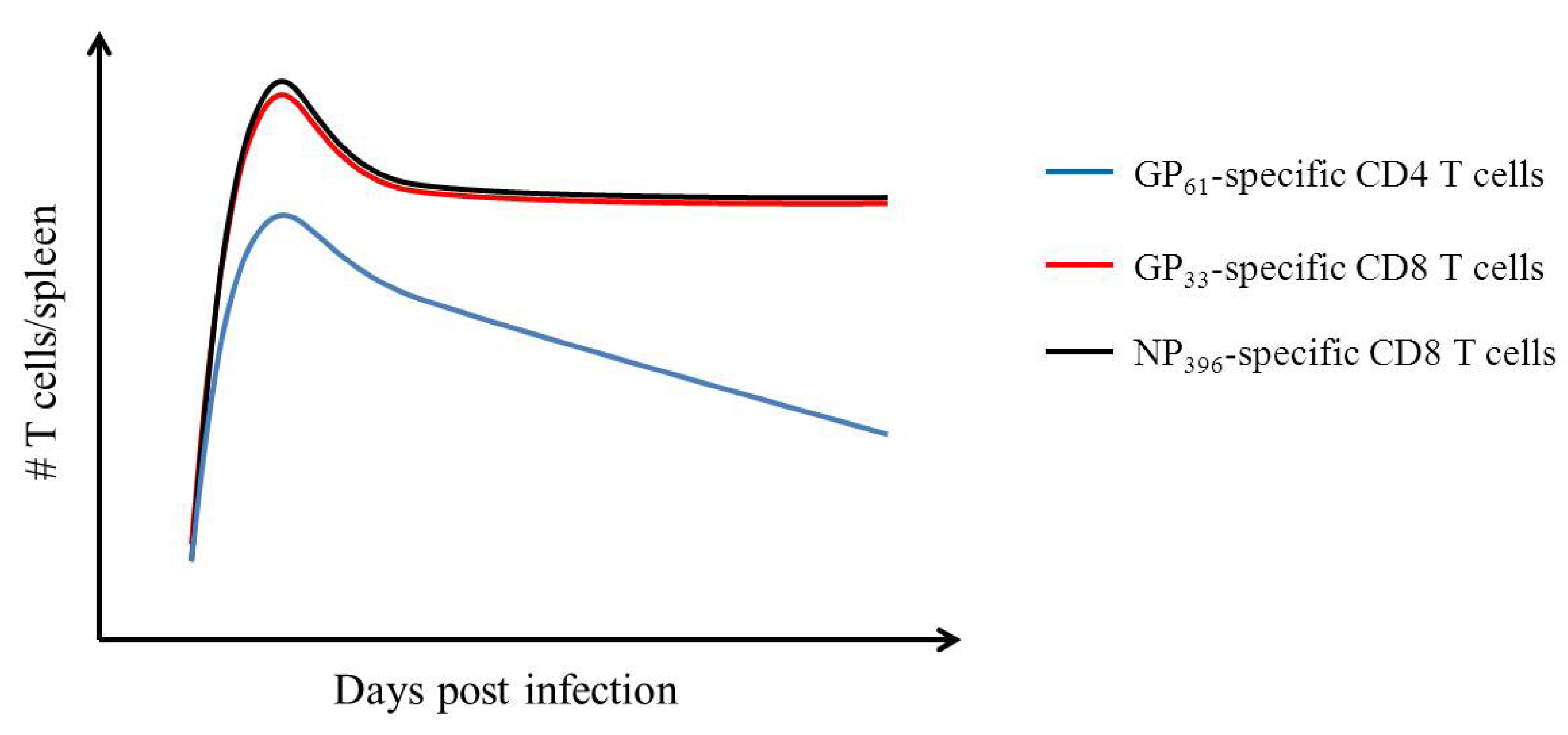Viruses 04 02650 g003