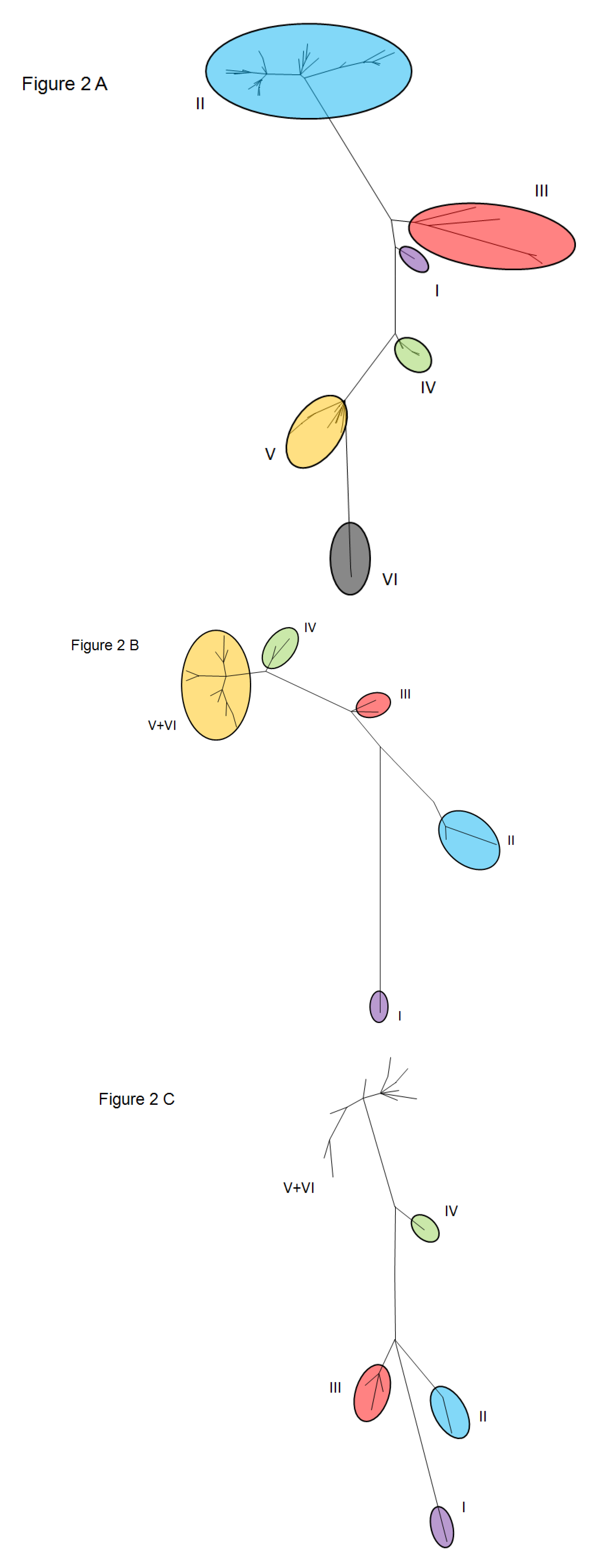 Viruses 04 03452 g002