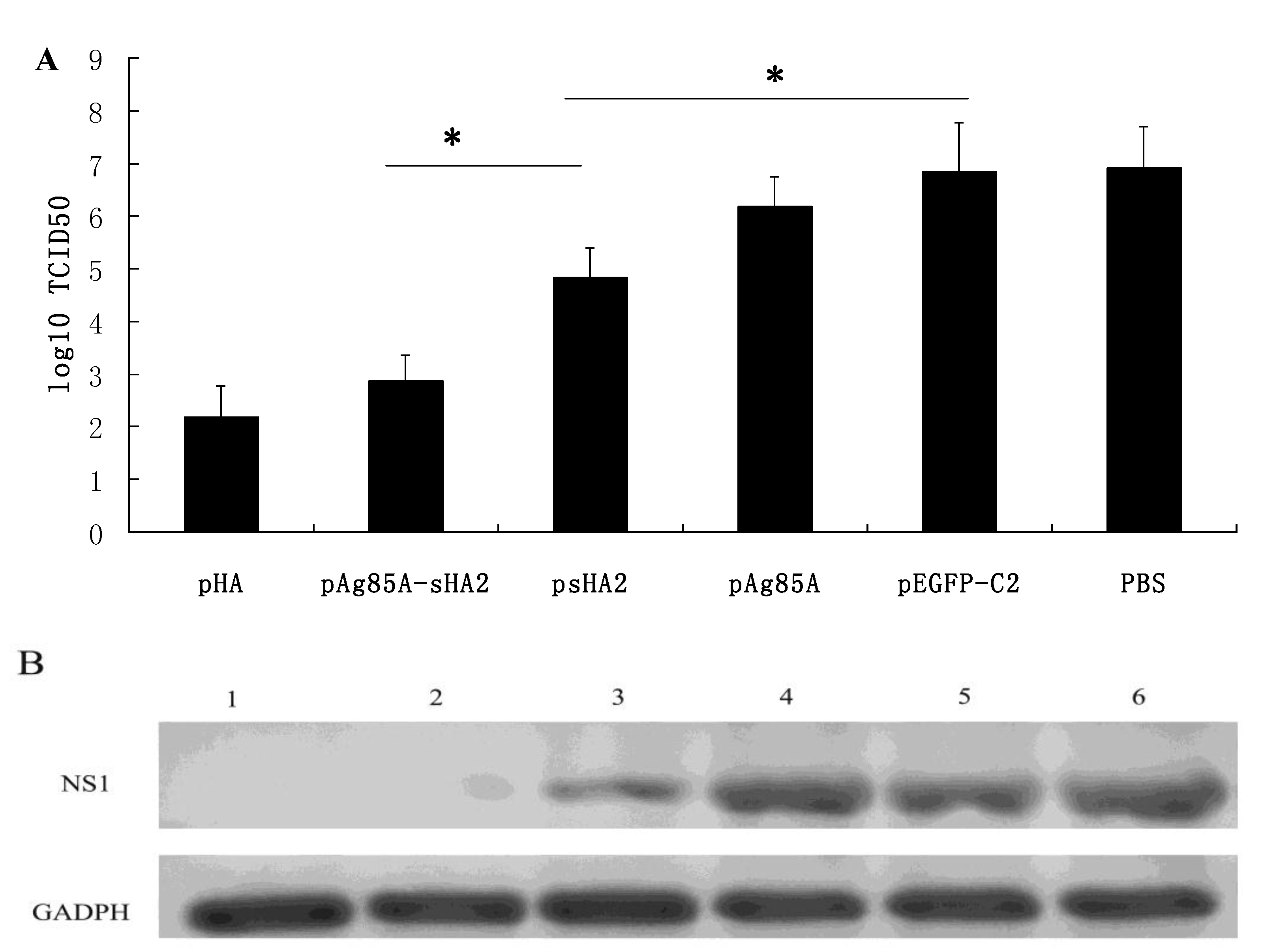 Viruses 04 03606 g002 1024