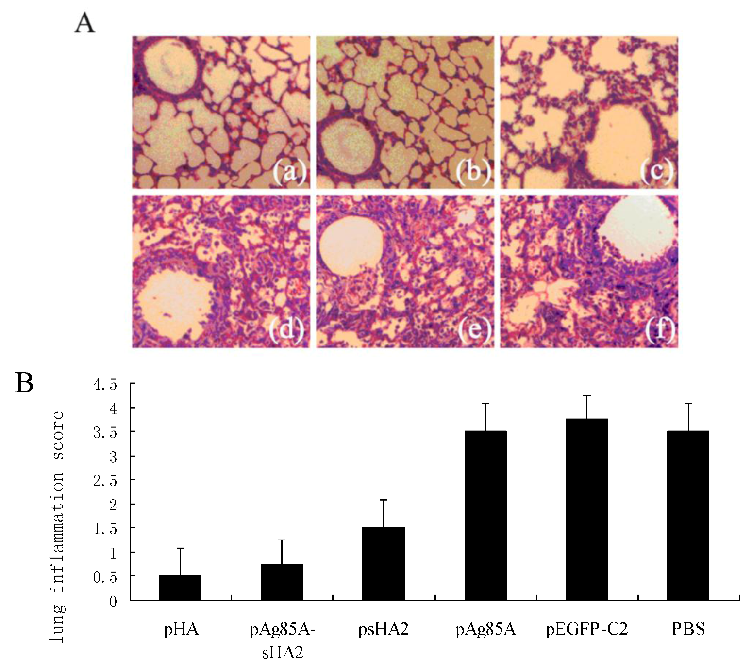 Viruses 04 03606 g008 1024