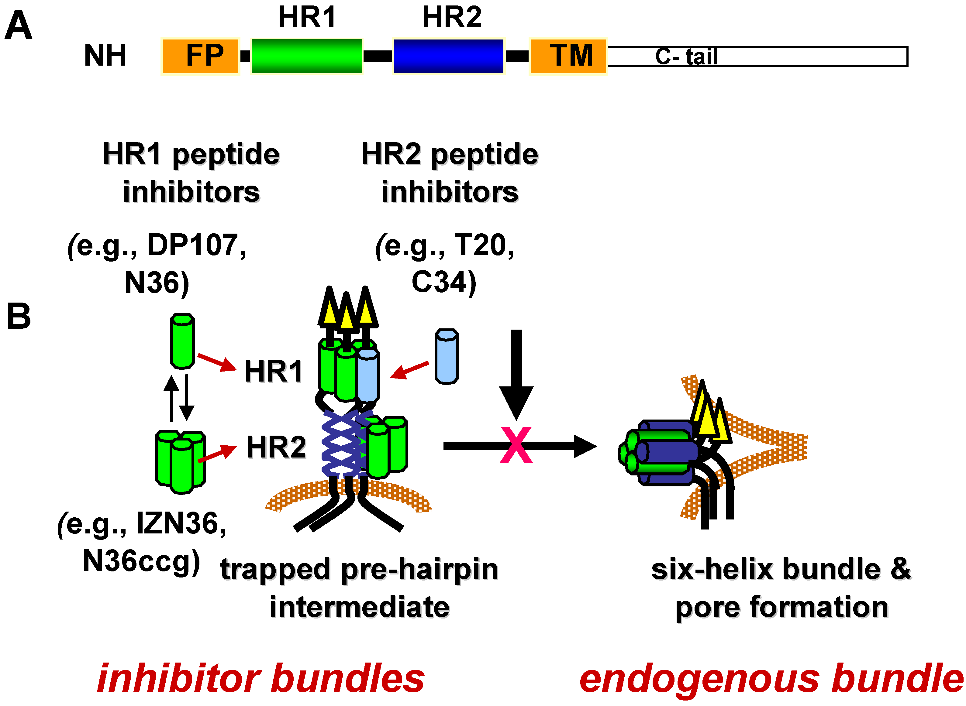 Viruses Free Full Text Escape From Human Immunodeficiency Virus Type 1 Hiv 1 Entry Inhibitors Html