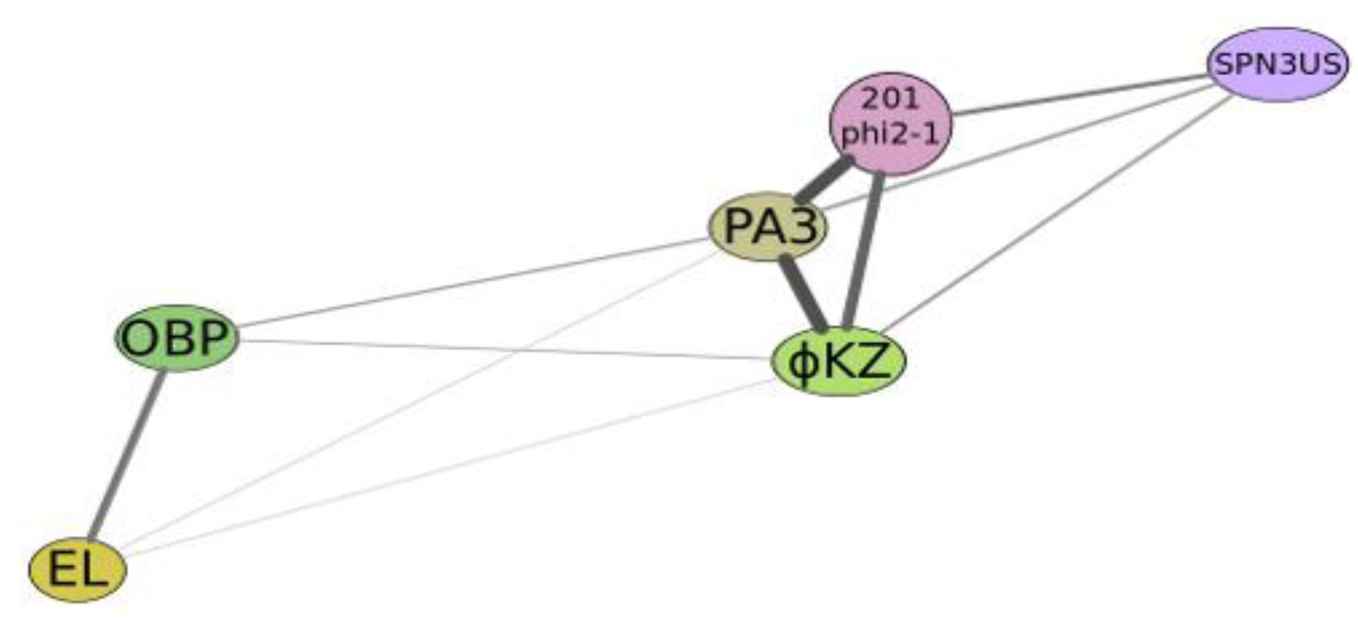 Viruses 05 00015 g004 1024