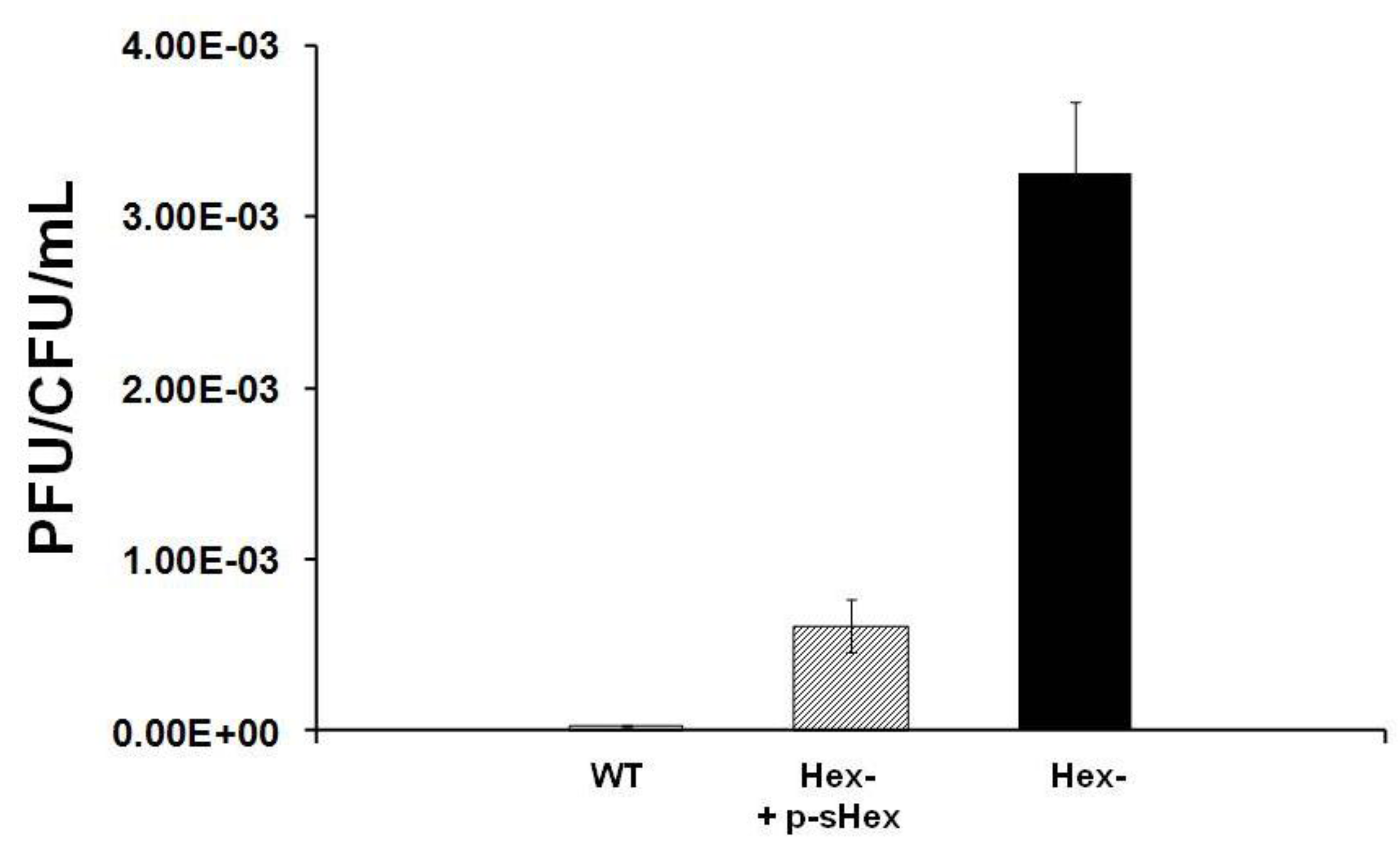 Viruses 05 00111 g006 1024
