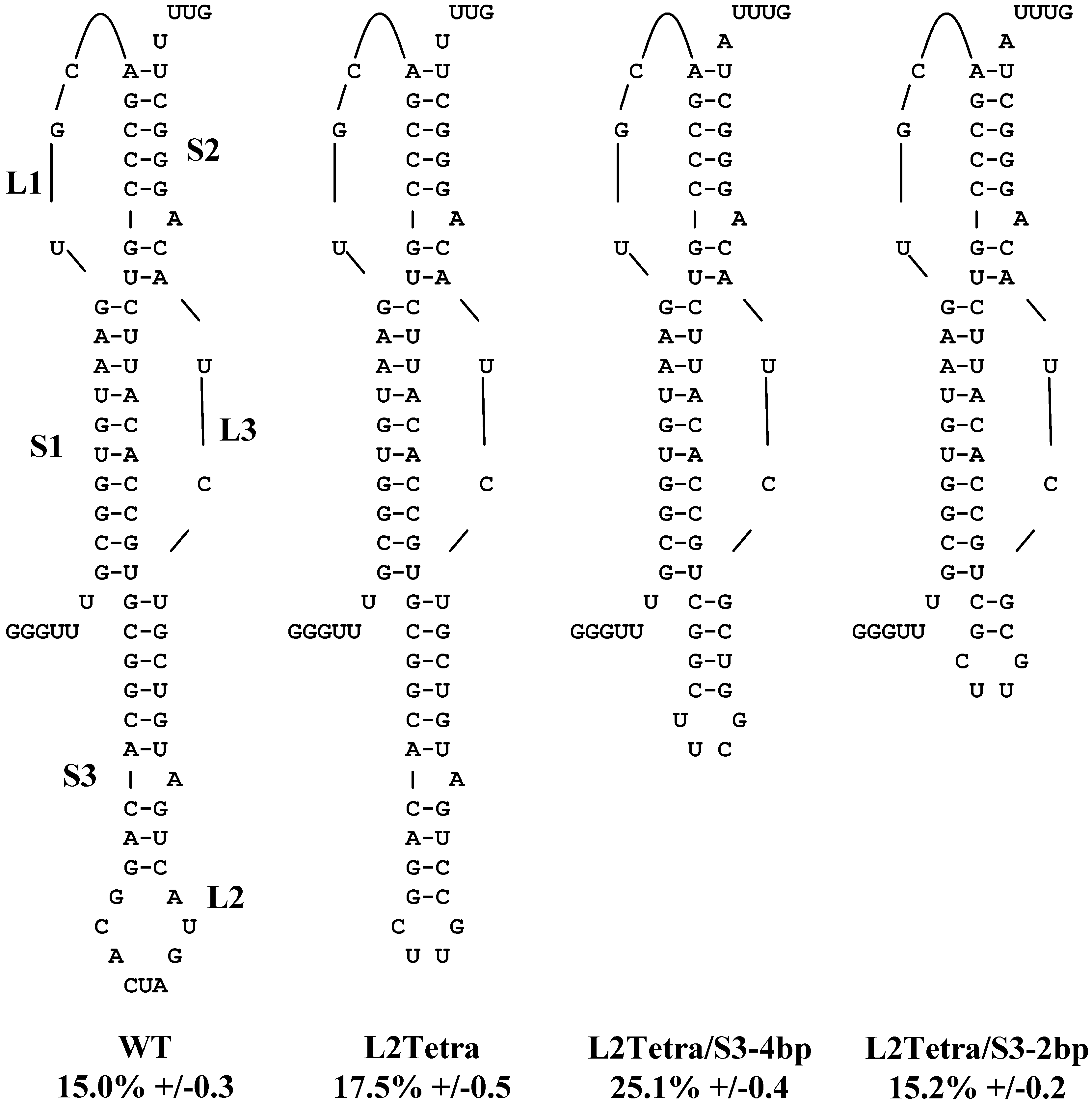 Viruses 05 00279 g001