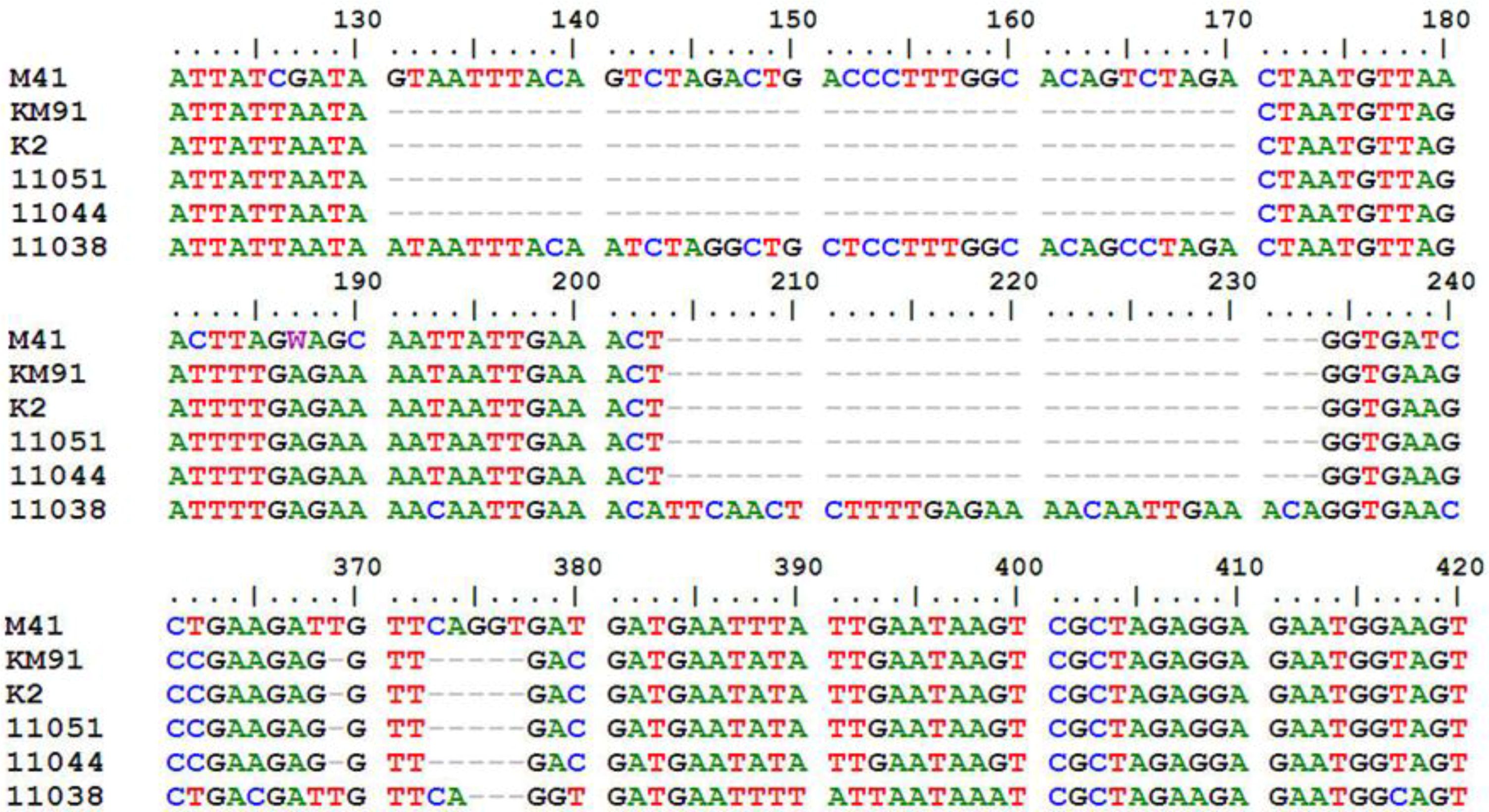 Viruses 05 00550 g001 1024