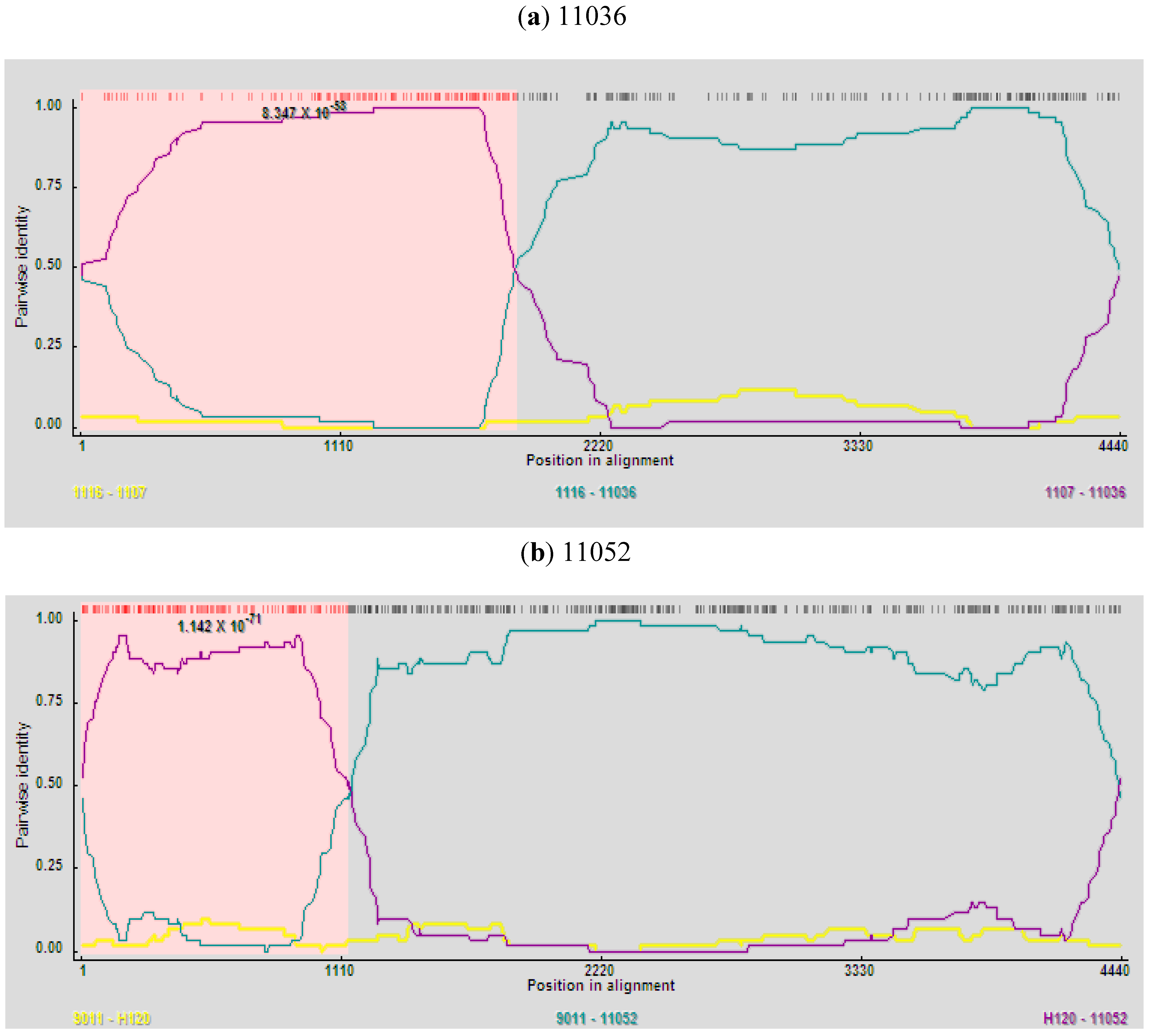 Viruses 05 00550 g003 1024