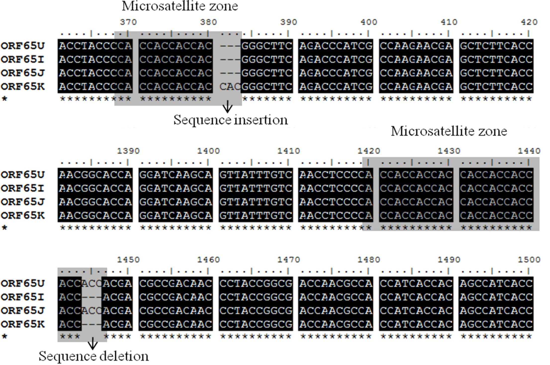 align in bioedit align in bioedit
