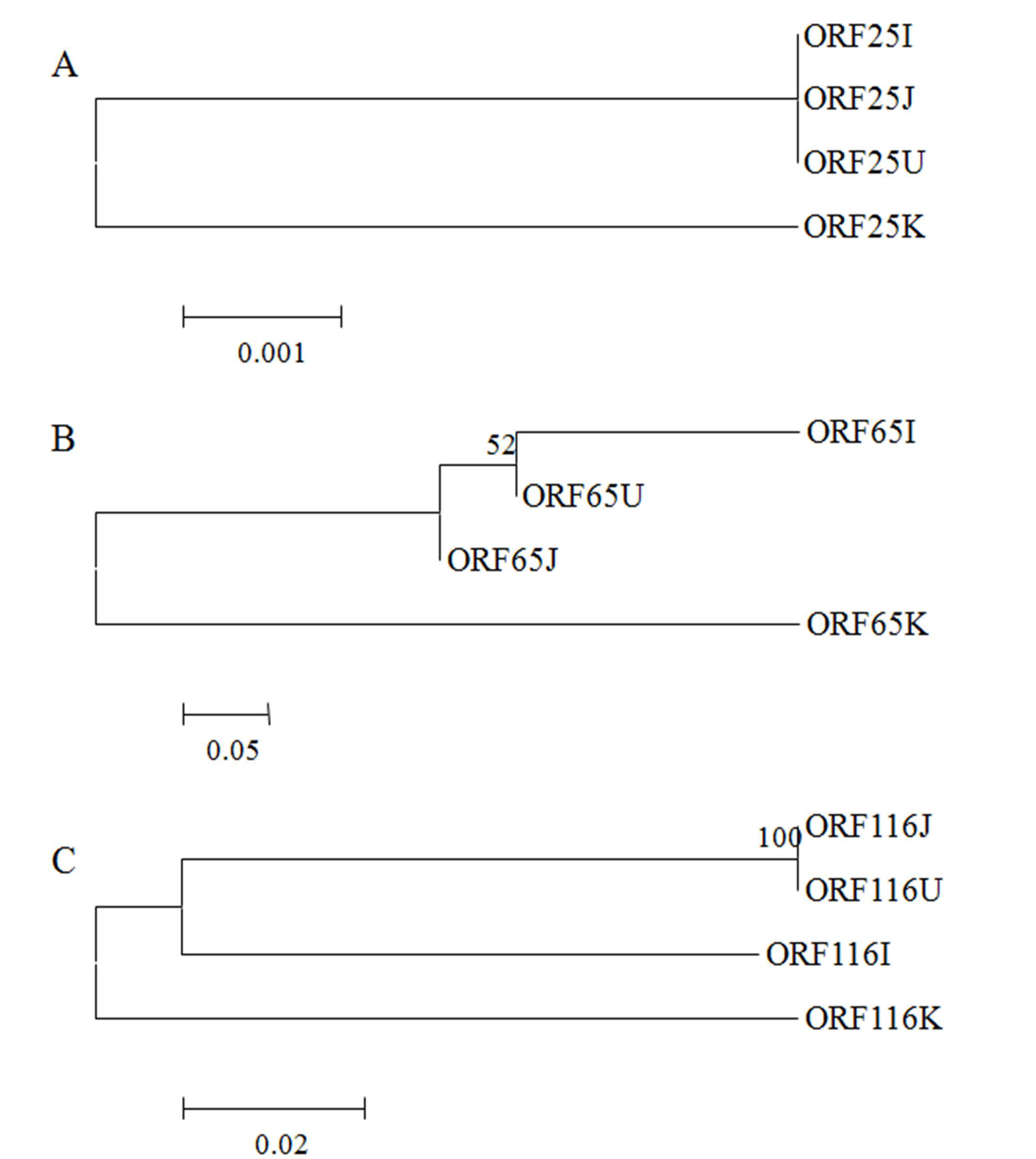 Viruses 05 00568 g004