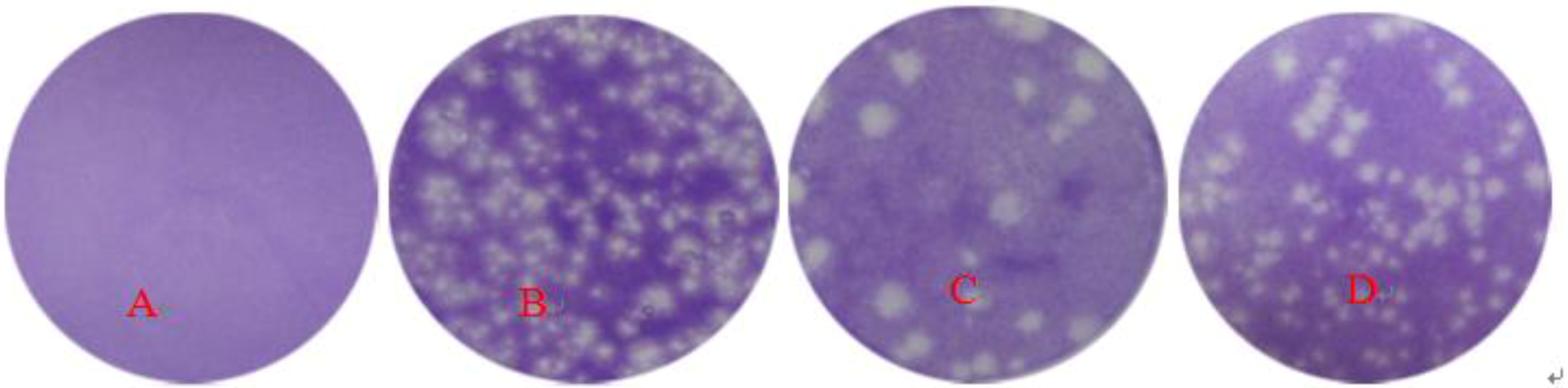 Viruses 05 01114 g008 1024