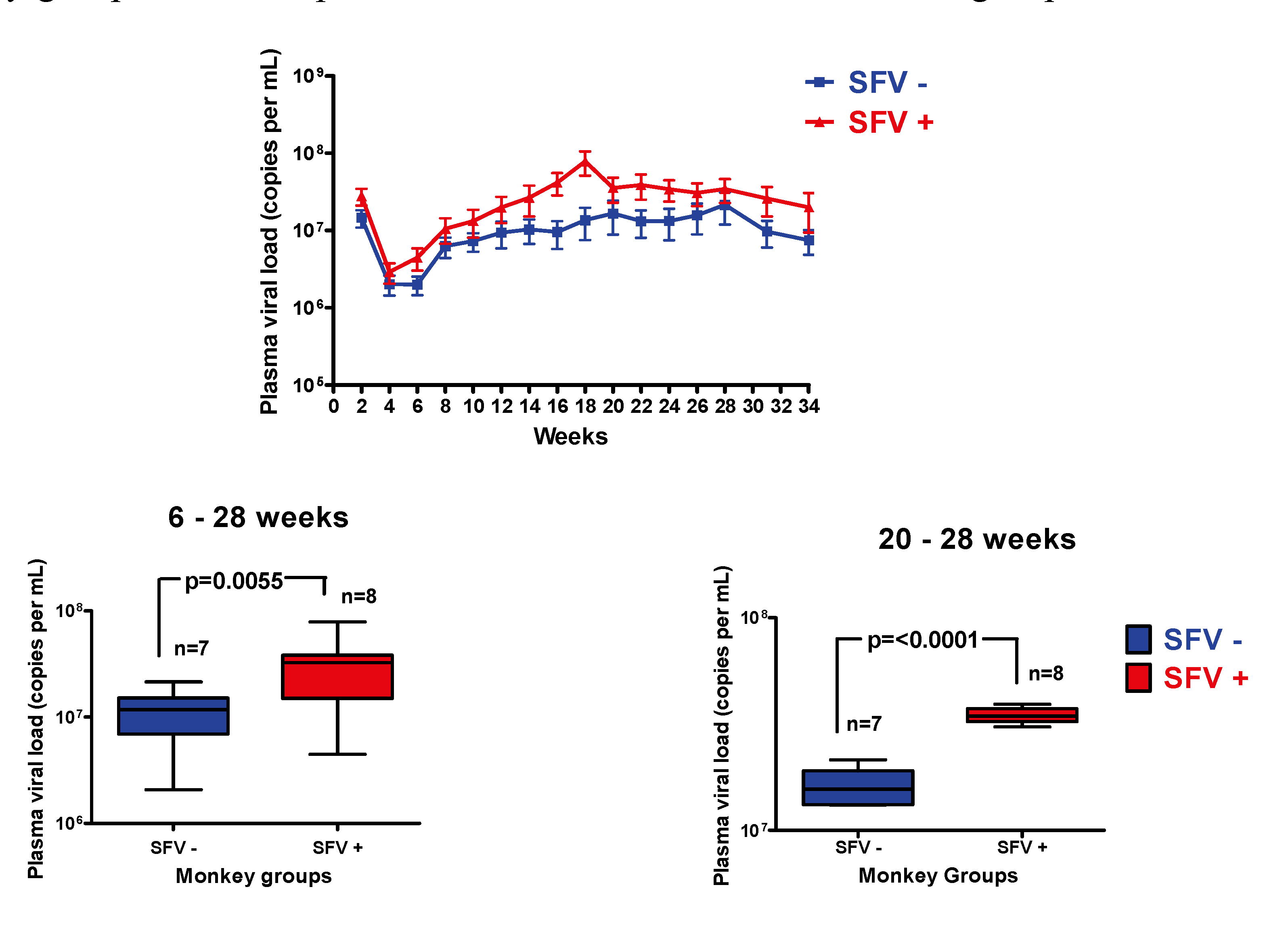 Viruses 05 01414 g004
